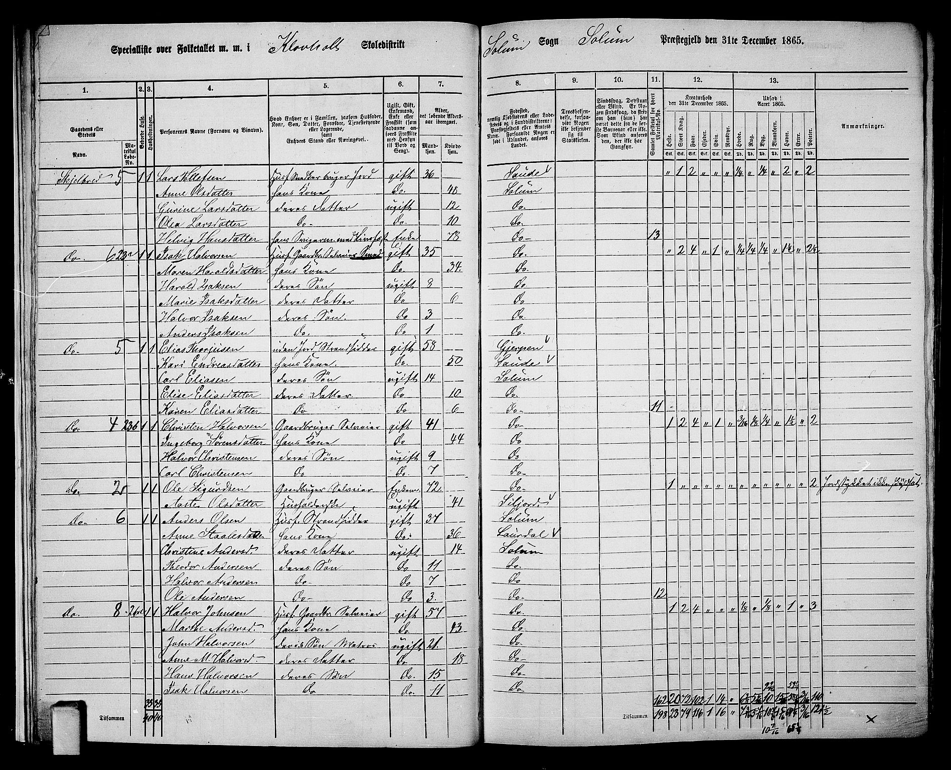 RA, 1865 census for Solum, 1865, p. 22