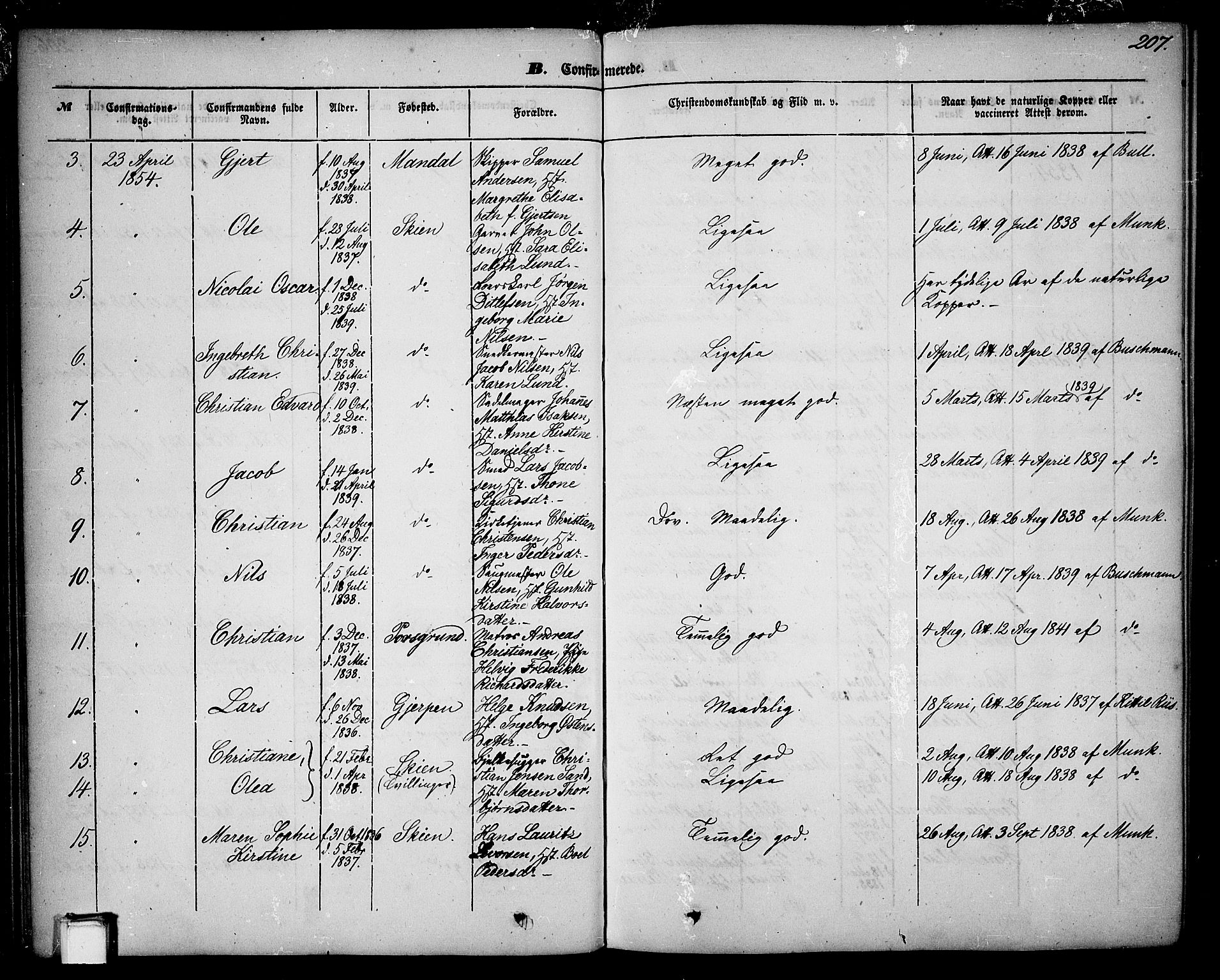 Skien kirkebøker, SAKO/A-302/G/Ga/L0004: Parish register (copy) no. 4, 1843-1867, p. 207
