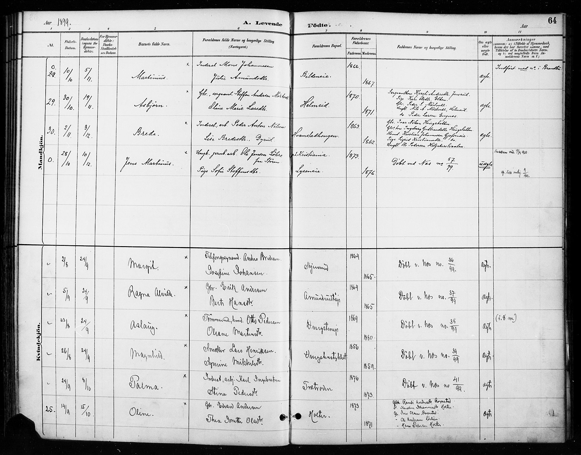 Gran prestekontor, AV/SAH-PREST-112/H/Ha/Haa/L0018: Parish register (official) no. 18, 1889-1899, p. 64