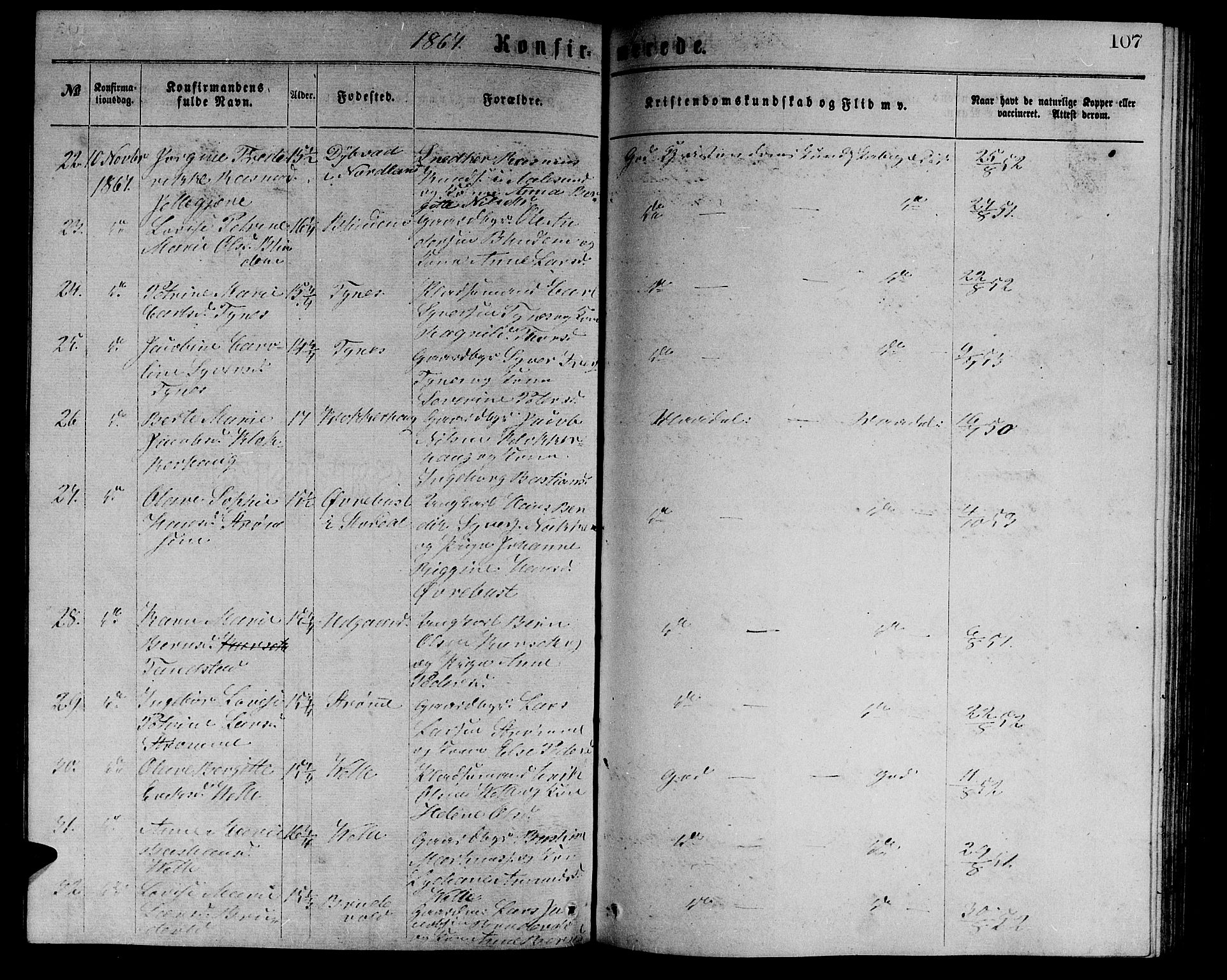 Ministerialprotokoller, klokkerbøker og fødselsregistre - Møre og Romsdal, AV/SAT-A-1454/523/L0338: Parish register (copy) no. 523C01, 1865-1877, p. 107