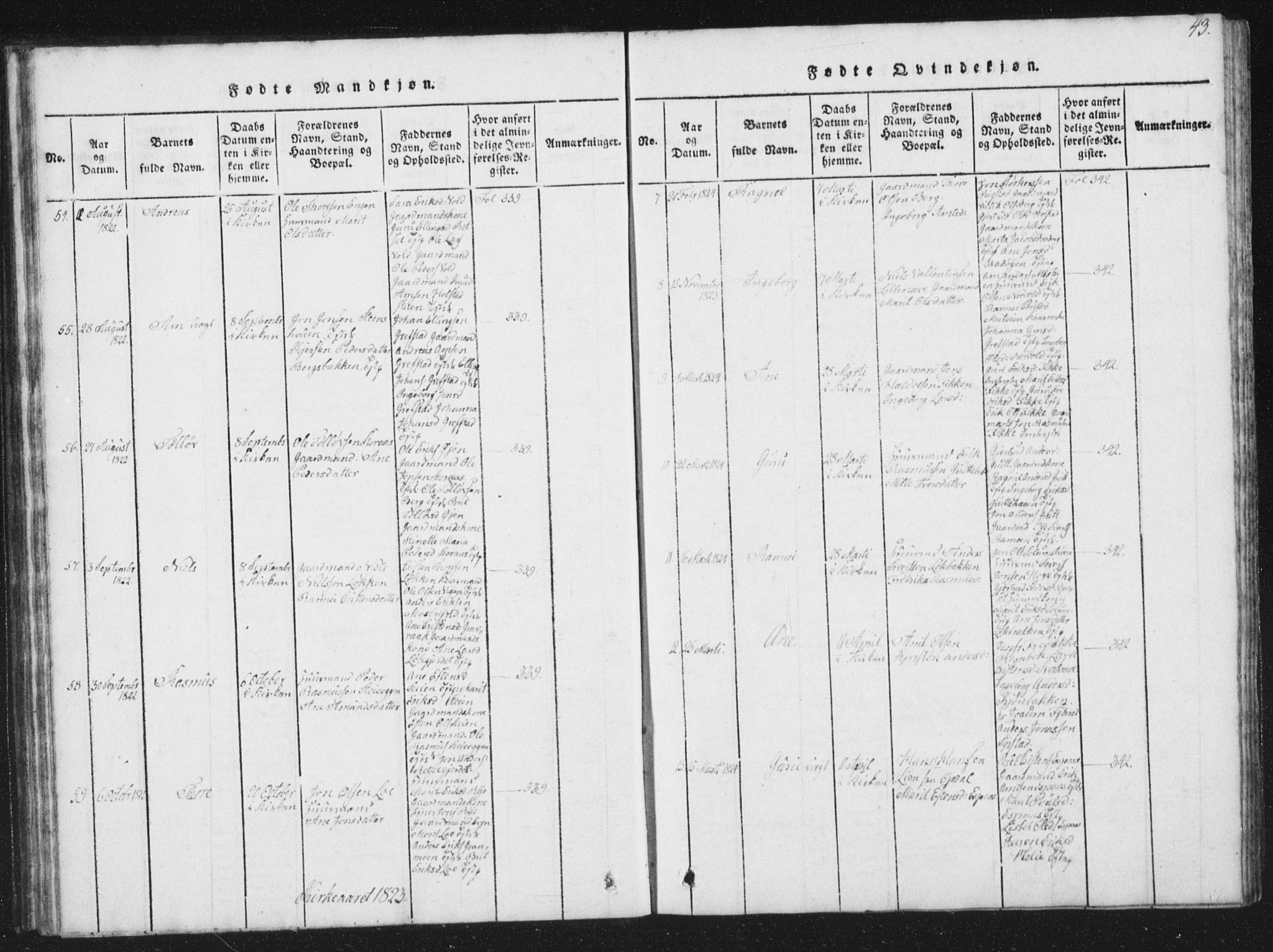 Ministerialprotokoller, klokkerbøker og fødselsregistre - Sør-Trøndelag, SAT/A-1456/672/L0862: Parish register (copy) no. 672C01, 1816-1831, p. 43