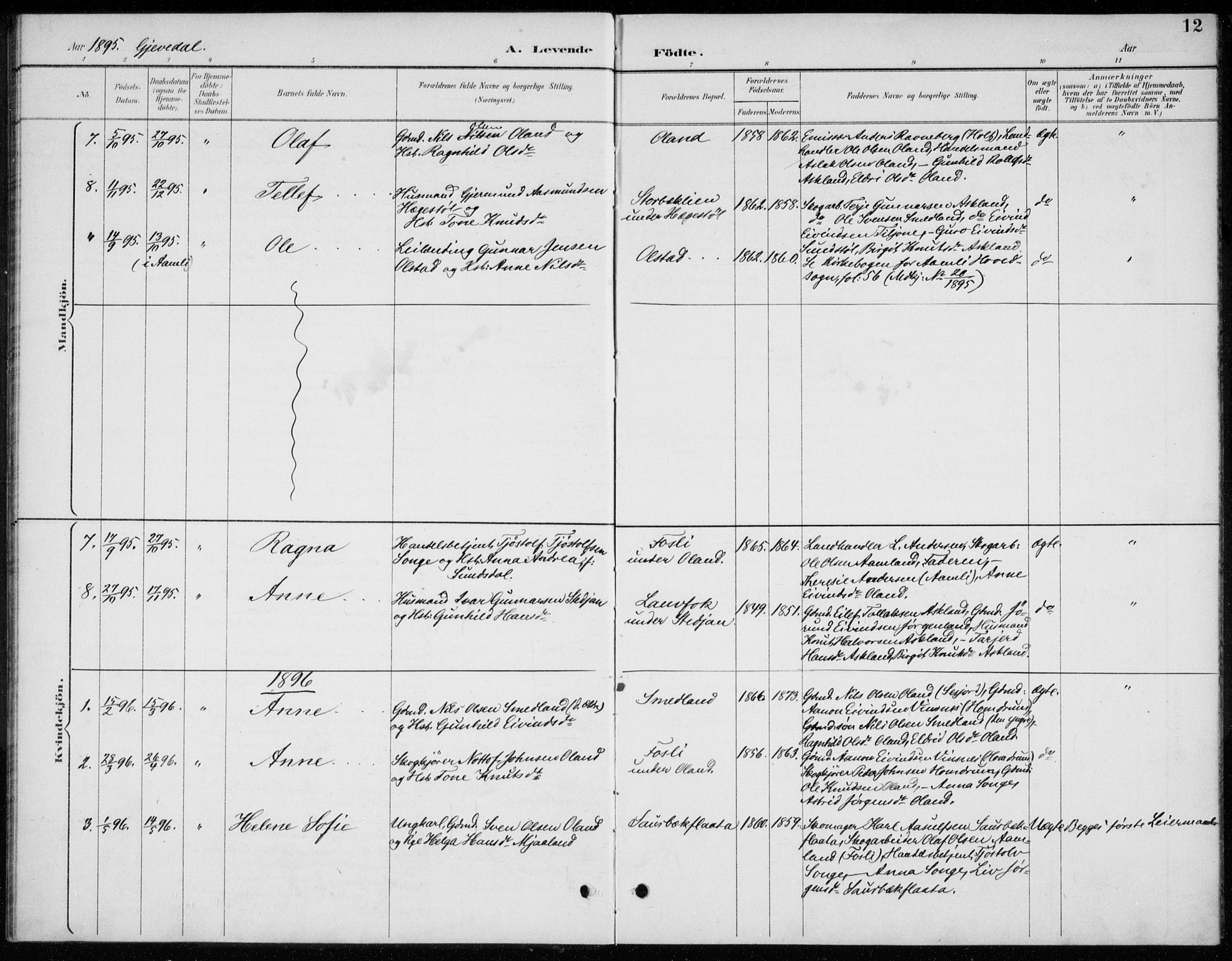 Åmli sokneprestkontor, AV/SAK-1111-0050/F/Fb/Fba/L0002: Parish register (copy) no. B 2, 1890-1912, p. 12