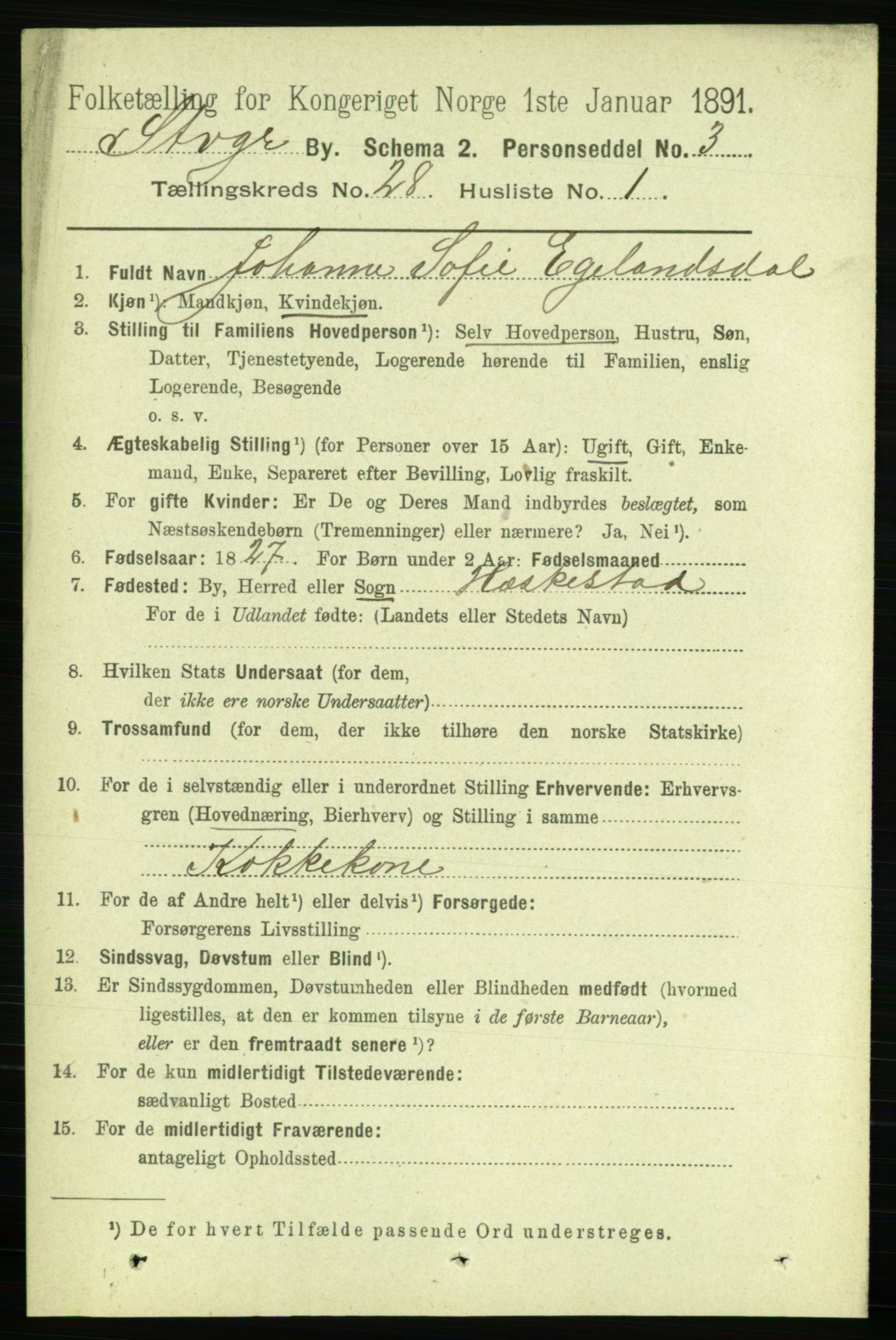 RA, 1891 census for 1103 Stavanger, 1891, p. 29155