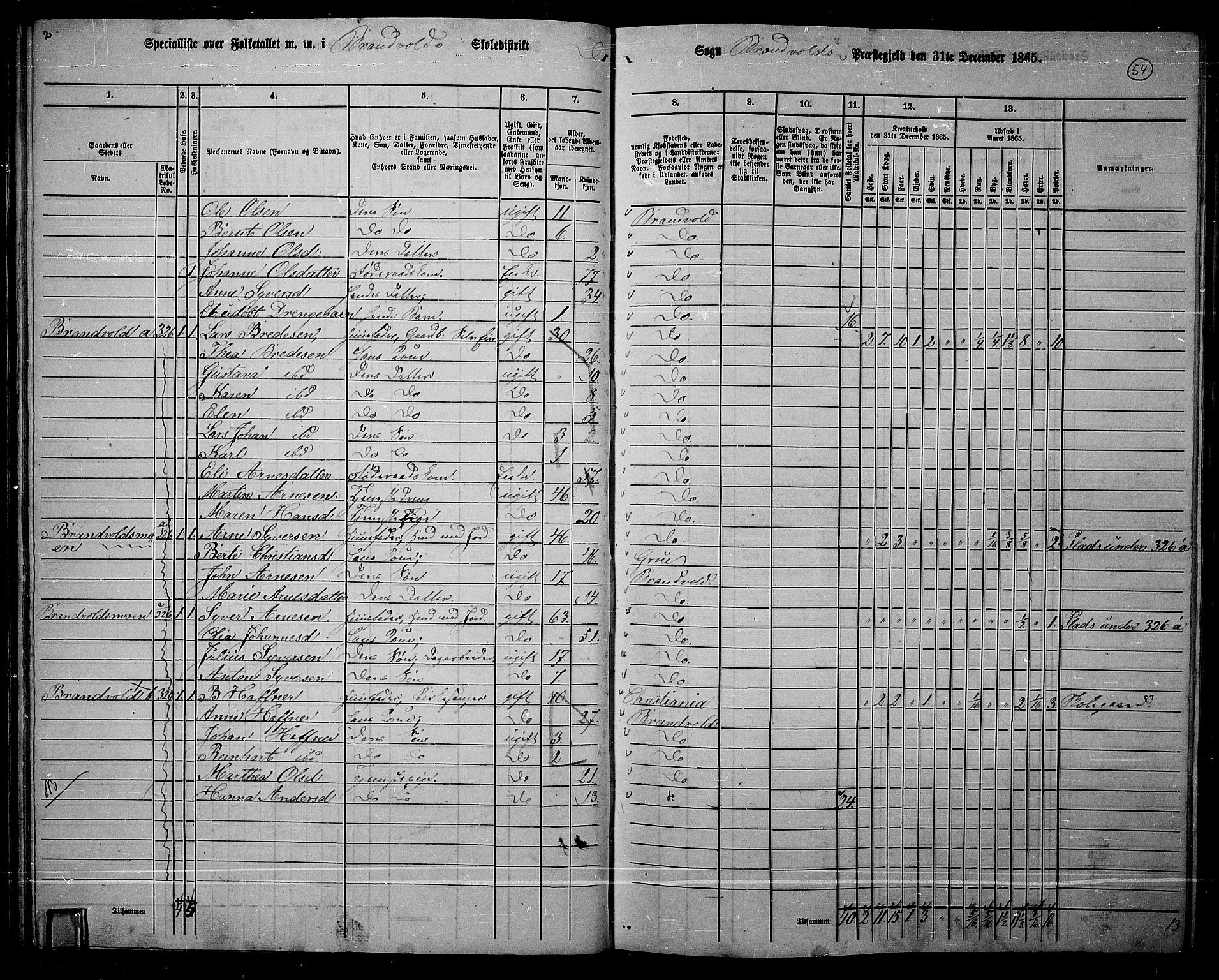 RA, 1865 census for Brandval, 1865, p. 51