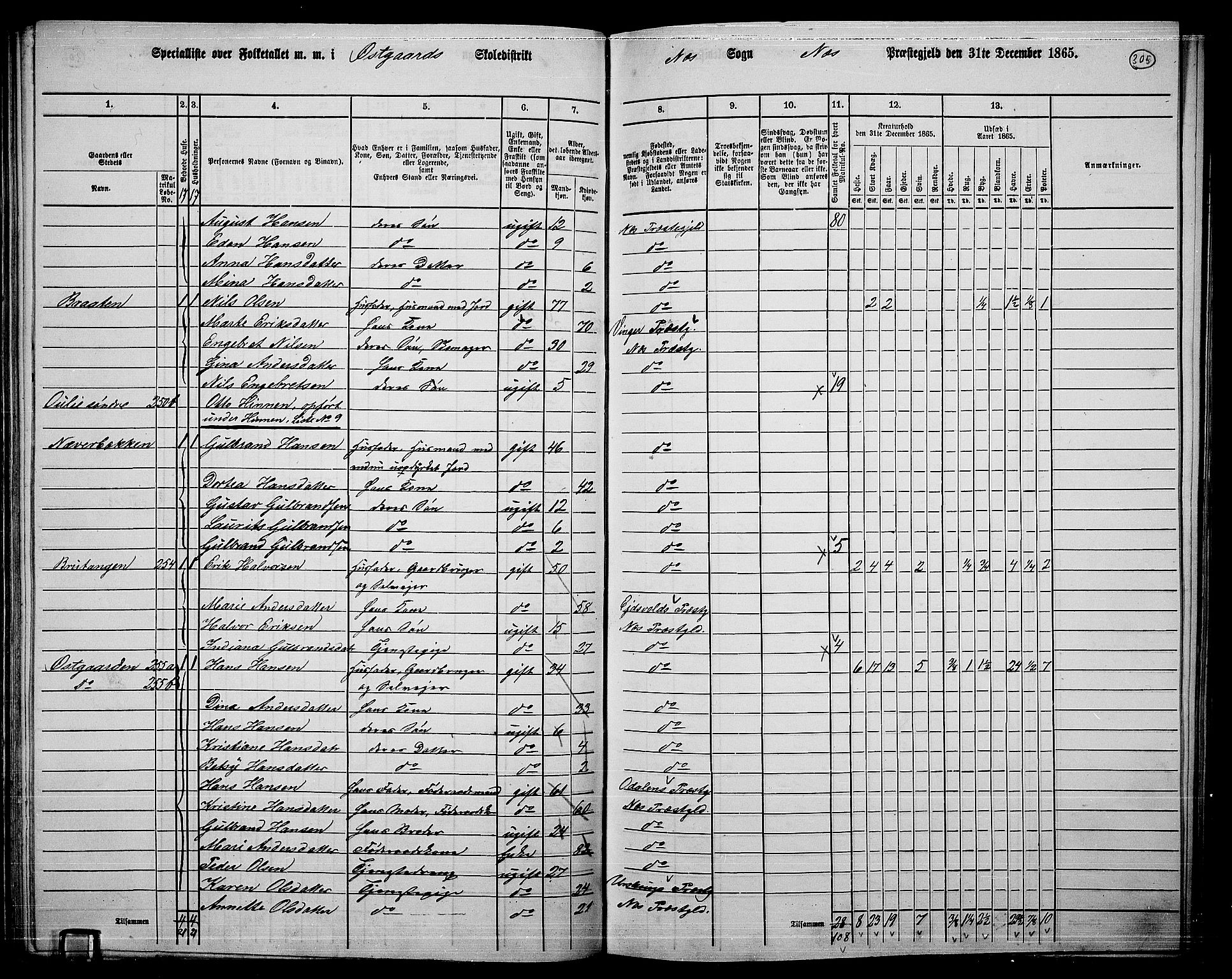 RA, 1865 census for Nes, 1865, p. 280