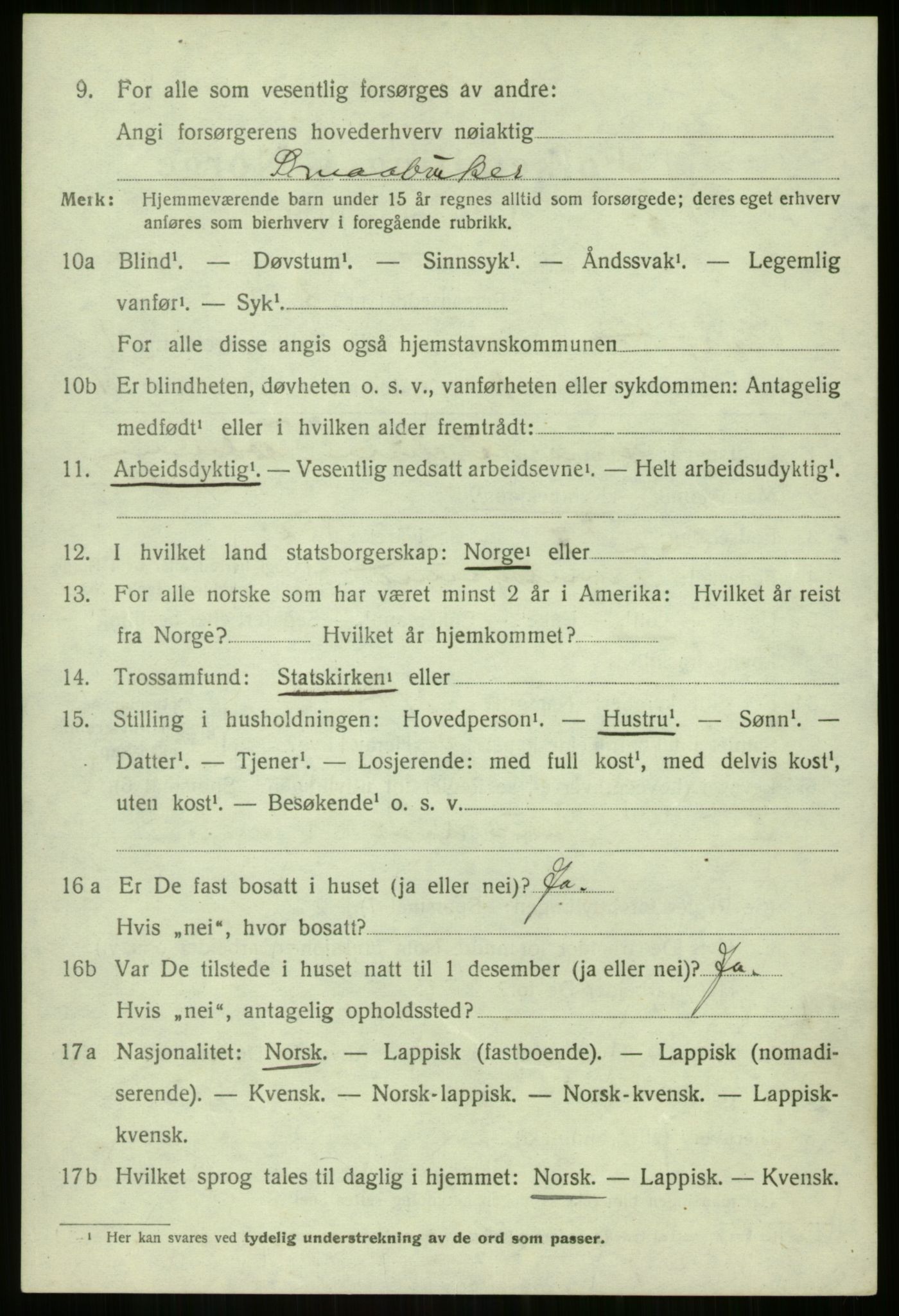 SATØ, 1920 census for Balsfjord, 1920, p. 1201