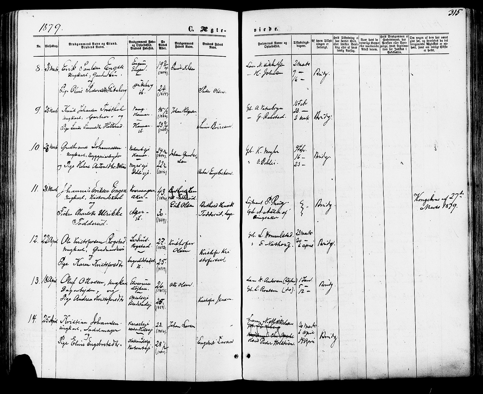 Vang prestekontor, Hedmark, SAH/PREST-008/H/Ha/Haa/L0015: Parish register (official) no. 15, 1871-1885, p. 315