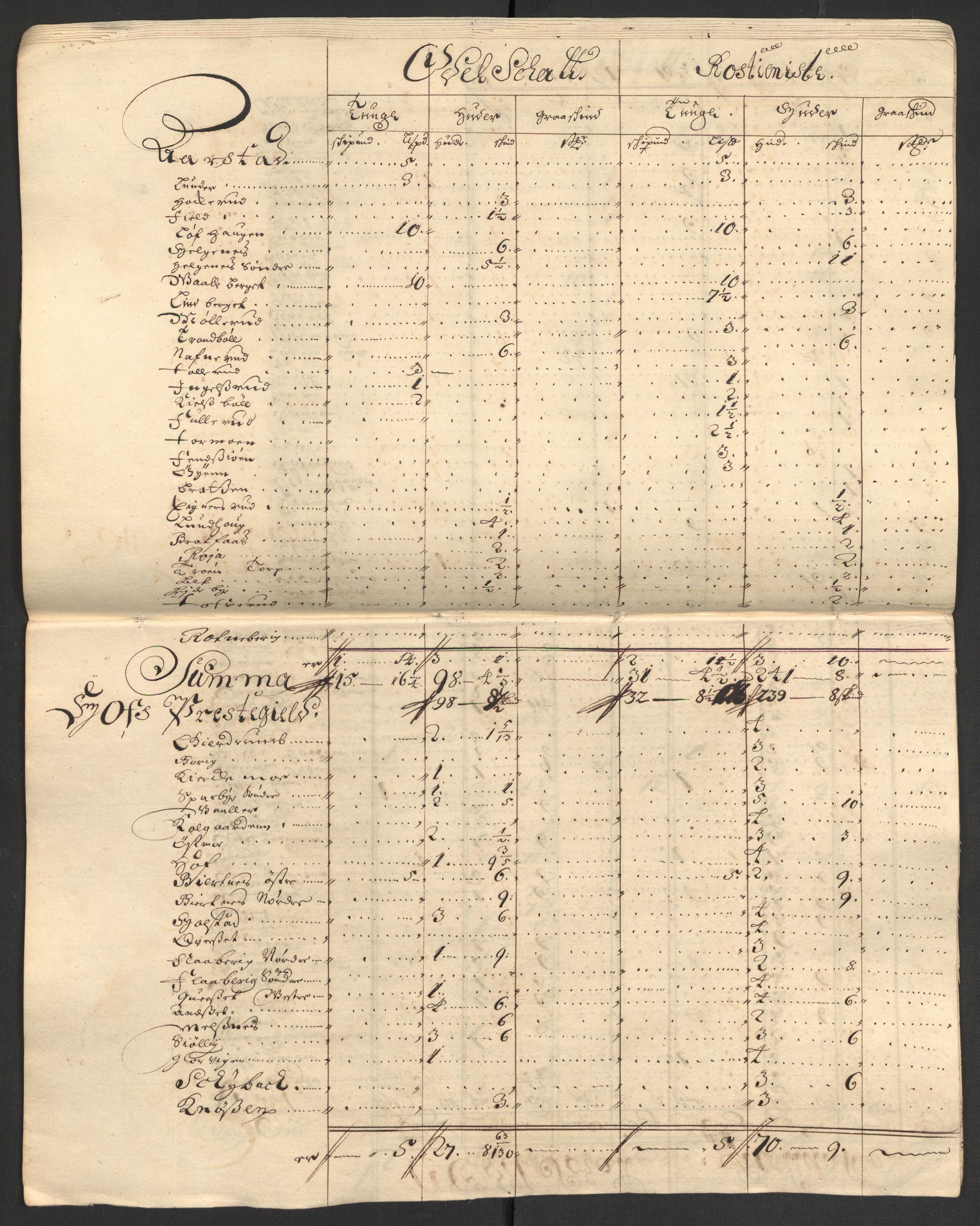 Rentekammeret inntil 1814, Reviderte regnskaper, Fogderegnskap, AV/RA-EA-4092/R13/L0843: Fogderegnskap Solør, Odal og Østerdal, 1705-1706, p. 164