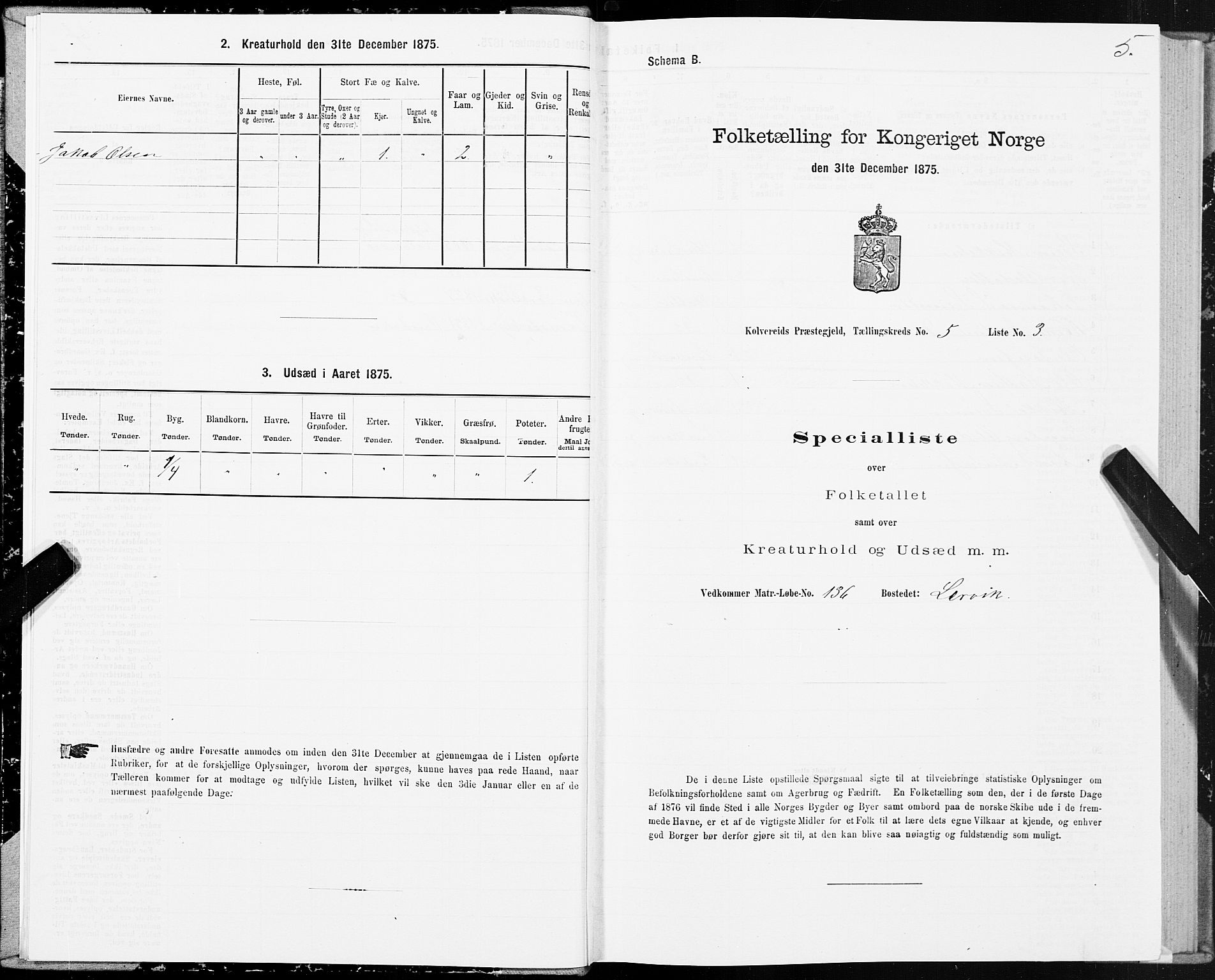 SAT, 1875 census for 1752P Kolvereid, 1875, p. 3005
