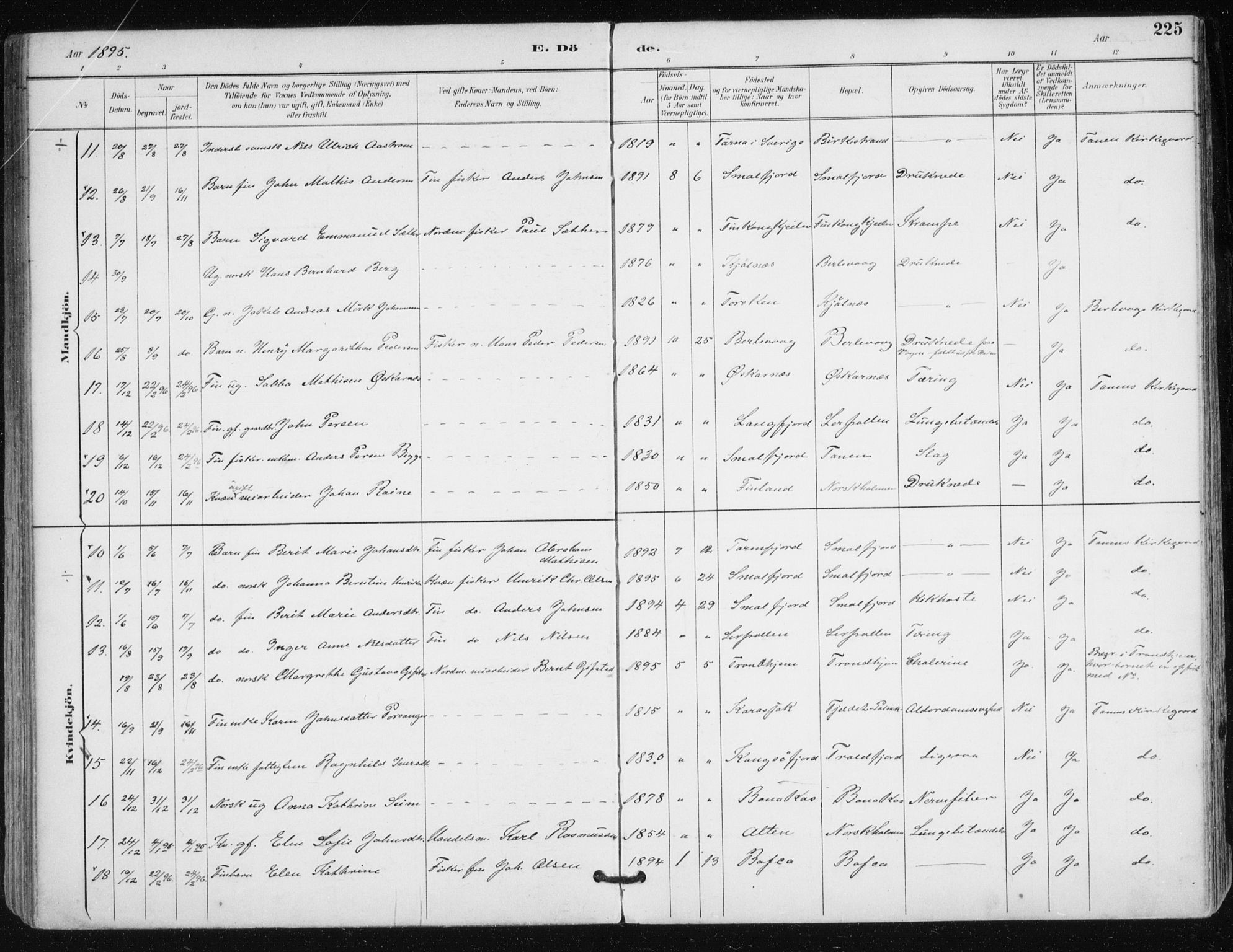 Tana sokneprestkontor, AV/SATØ-S-1334/H/Ha/L0005kirke: Parish register (official) no. 5, 1891-1903, p. 225