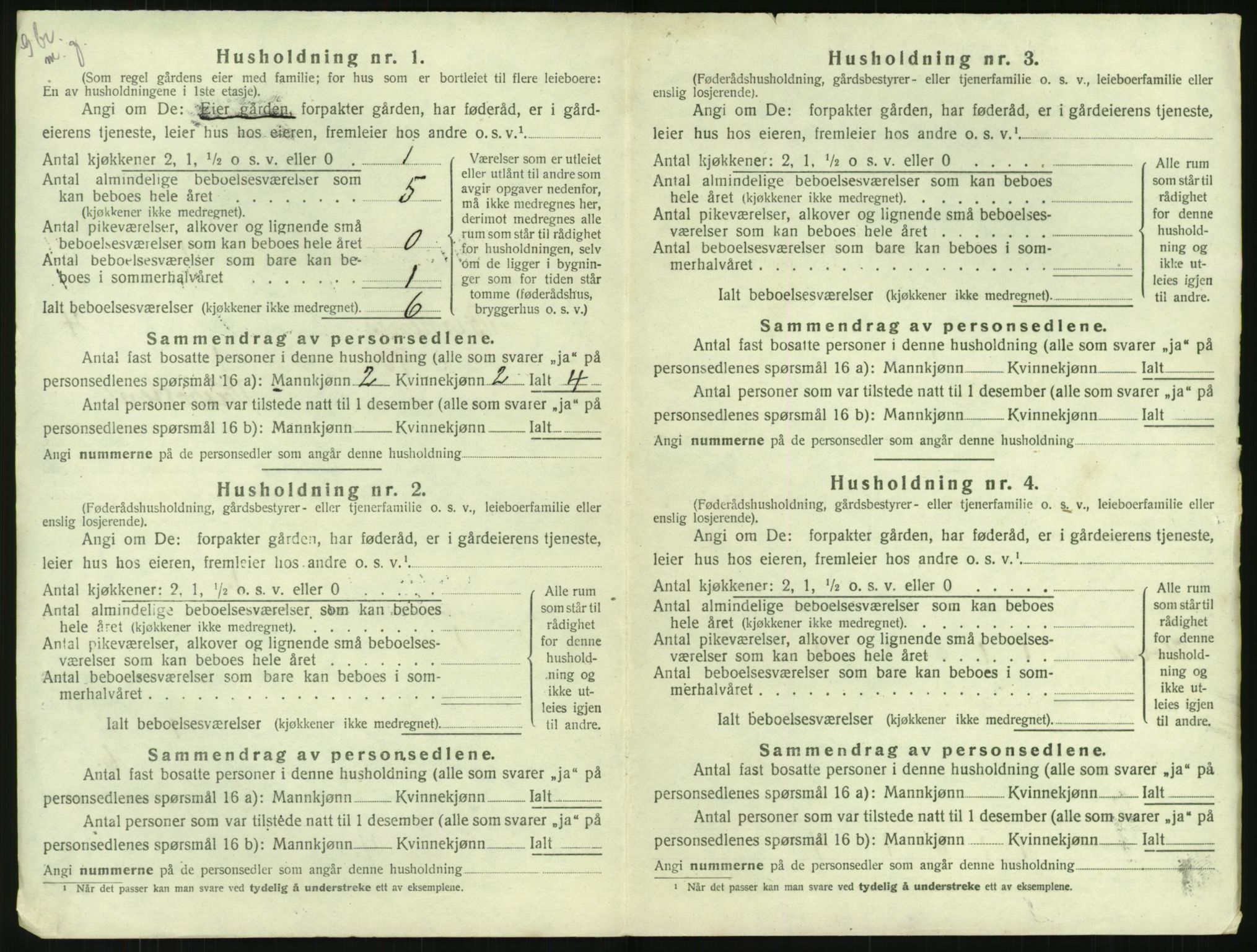 SAK, 1920 census for Birkenes, 1920, p. 248