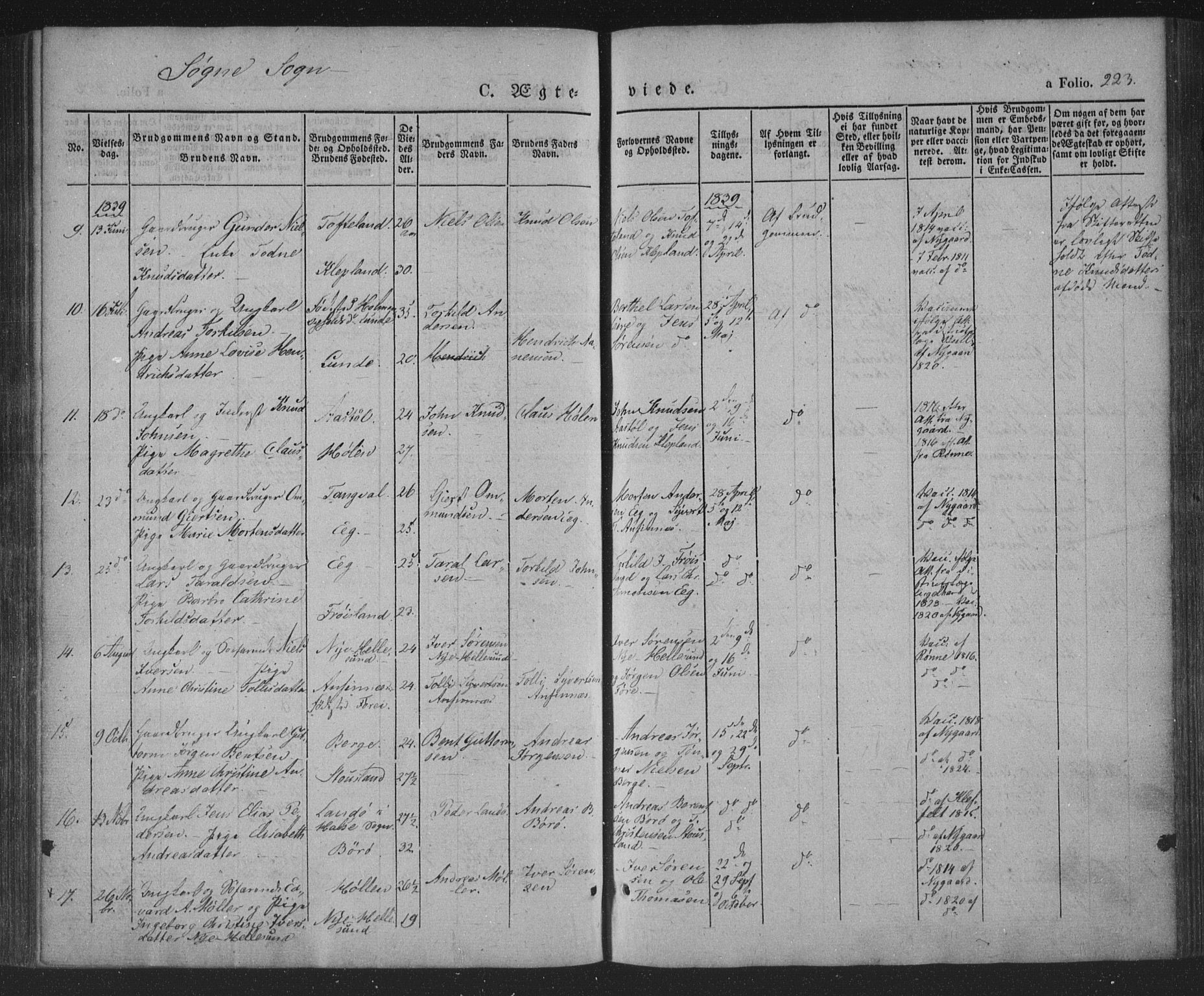 Søgne sokneprestkontor, SAK/1111-0037/F/Fa/Fab/L0009: Parish register (official) no. A 9, 1838-1853, p. 223