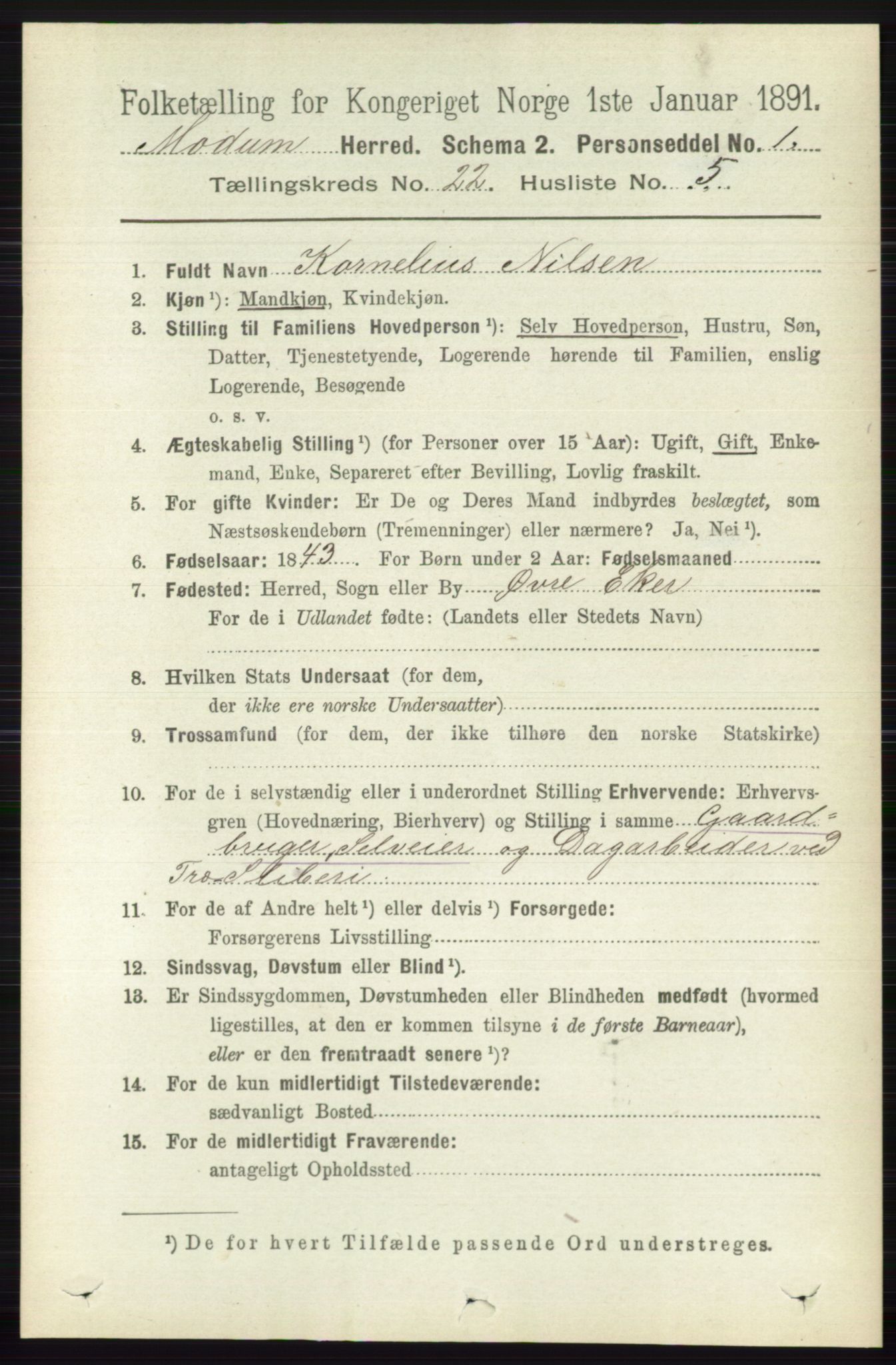 RA, 1891 census for 0623 Modum, 1891, p. 8412