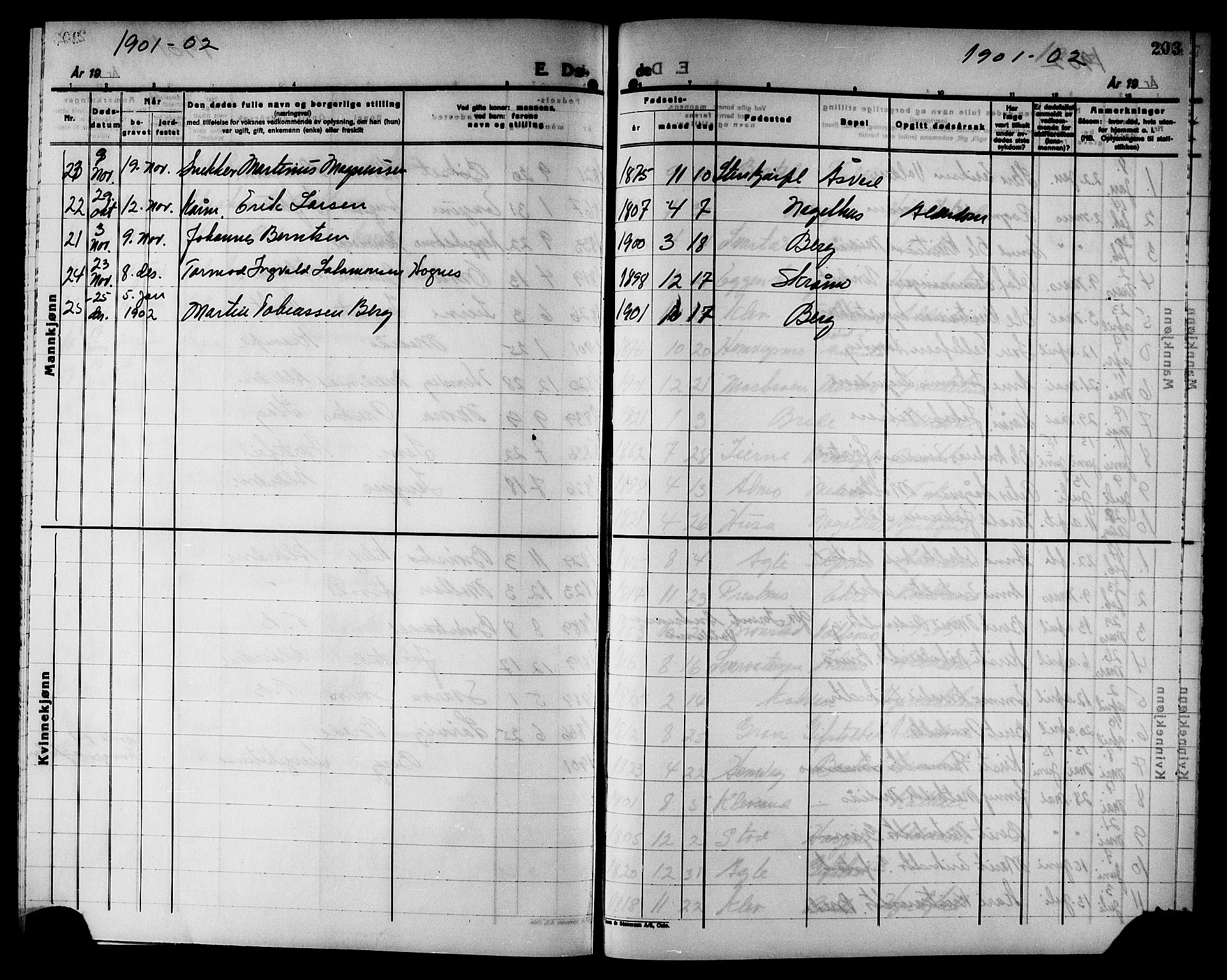Ministerialprotokoller, klokkerbøker og fødselsregistre - Nord-Trøndelag, SAT/A-1458/749/L0487: Parish register (official) no. 749D03, 1887-1902, p. 203