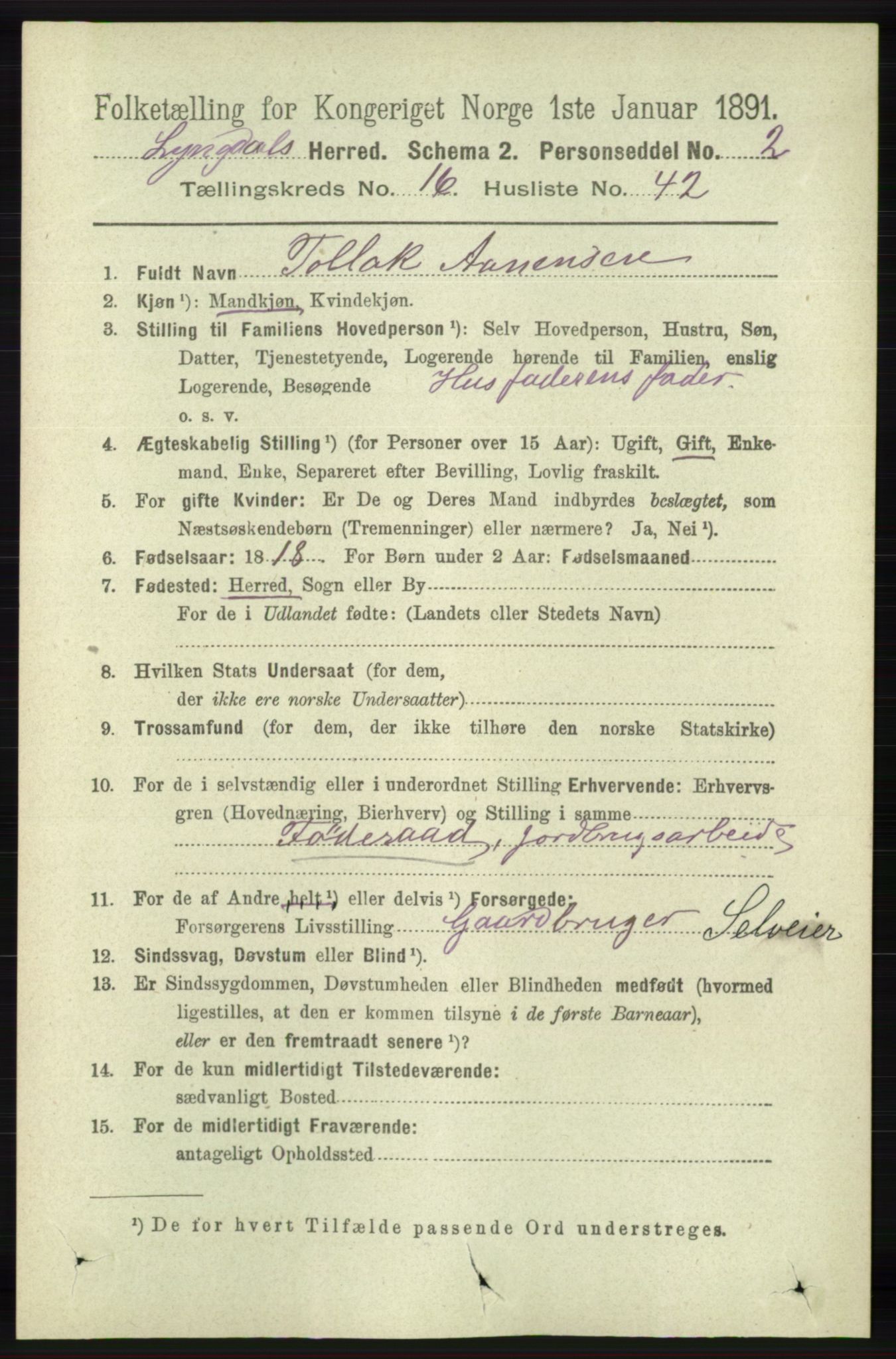 RA, 1891 census for 1032 Lyngdal, 1891, p. 6468