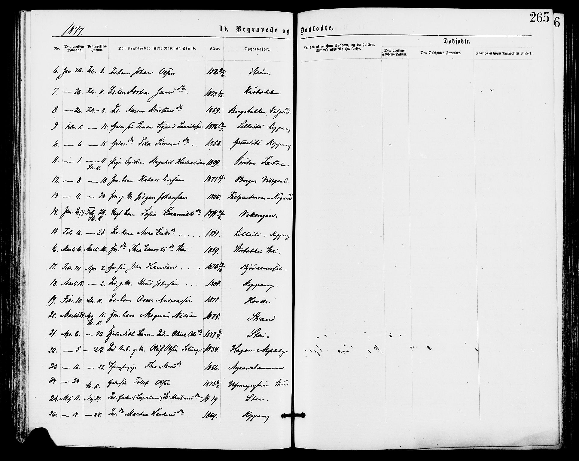 Stor-Elvdal prestekontor, SAH/PREST-052/H/Ha/Haa/L0001: Parish register (official) no. 1, 1871-1882, p. 265