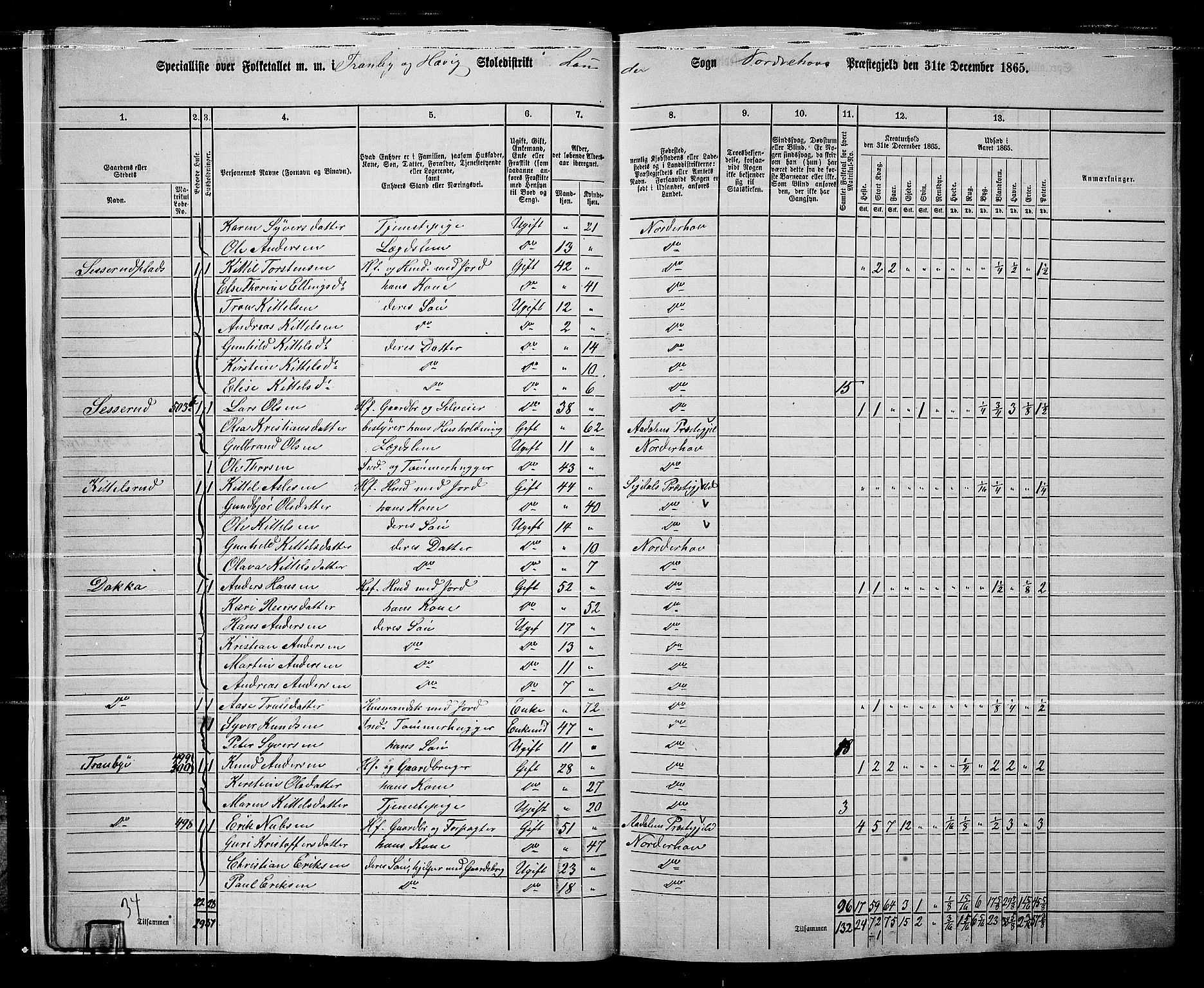 RA, 1865 census for Norderhov/Norderhov, Haug og Lunder, 1865, p. 20