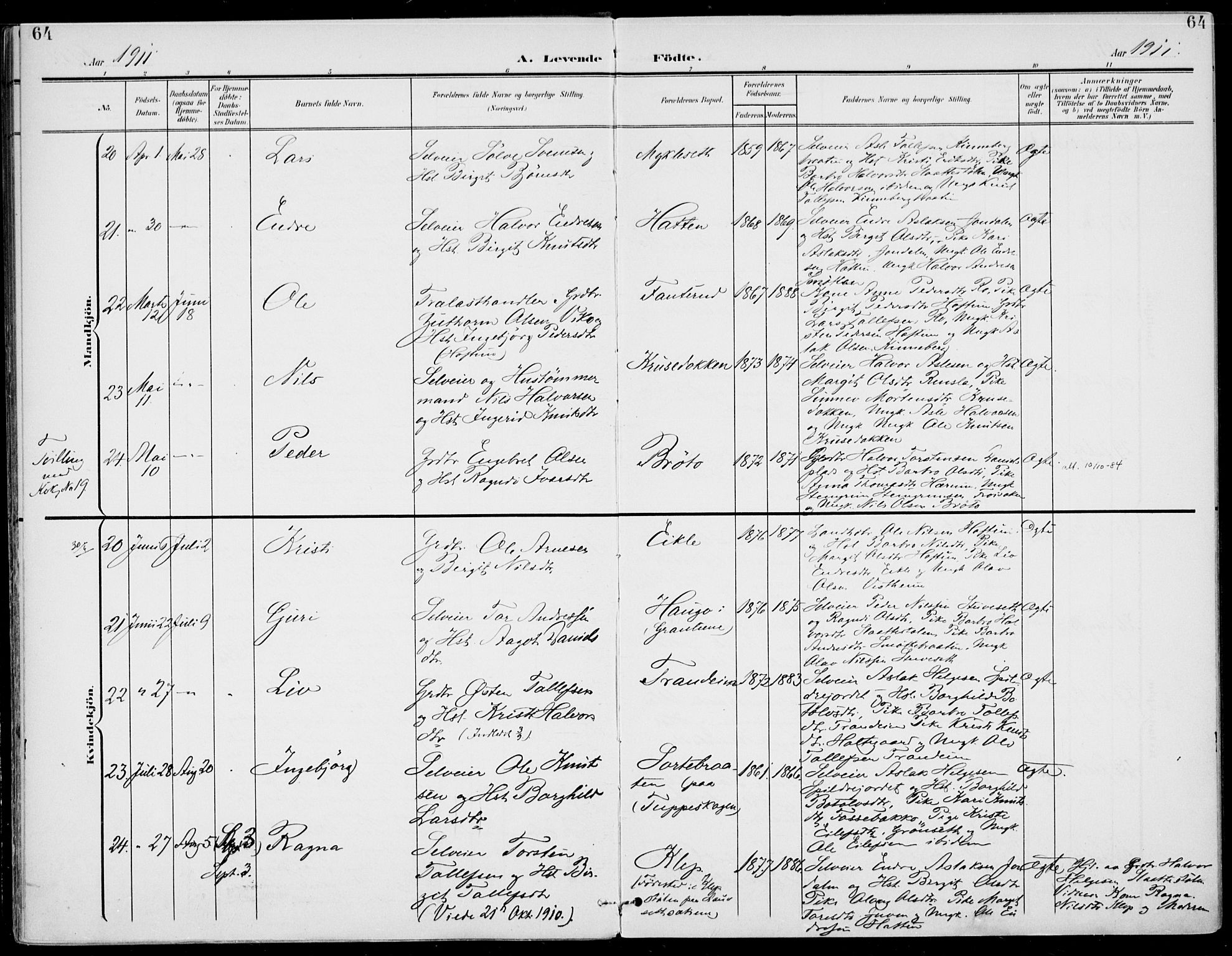 Gol kirkebøker, SAKO/A-226/F/Fa/L0006: Parish register (official) no. I 6, 1901-1918, p. 64