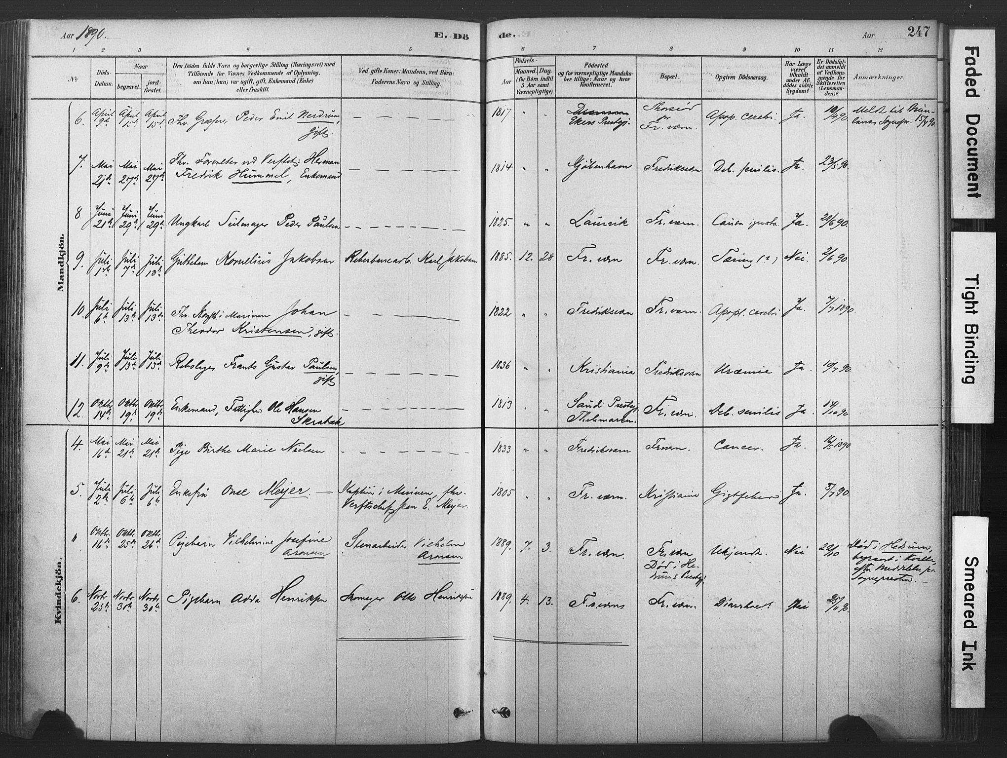 Stavern kirkebøker, AV/SAKO-A-318/F/Fa/L0008: Parish register (official) no. 8, 1878-1905, p. 247