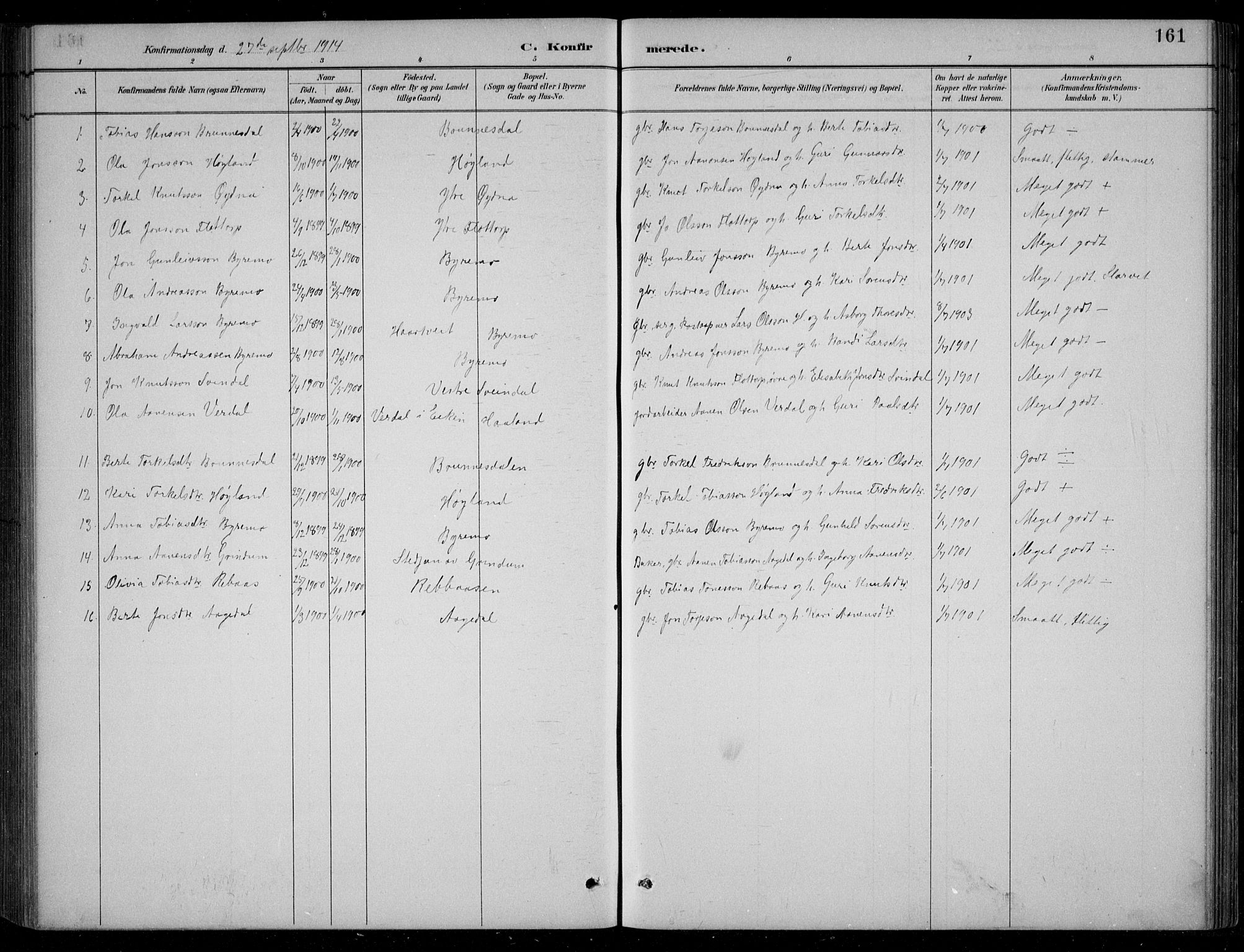 Bjelland sokneprestkontor, SAK/1111-0005/F/Fb/Fbc/L0003: Parish register (copy) no. B 3, 1887-1924, p. 161