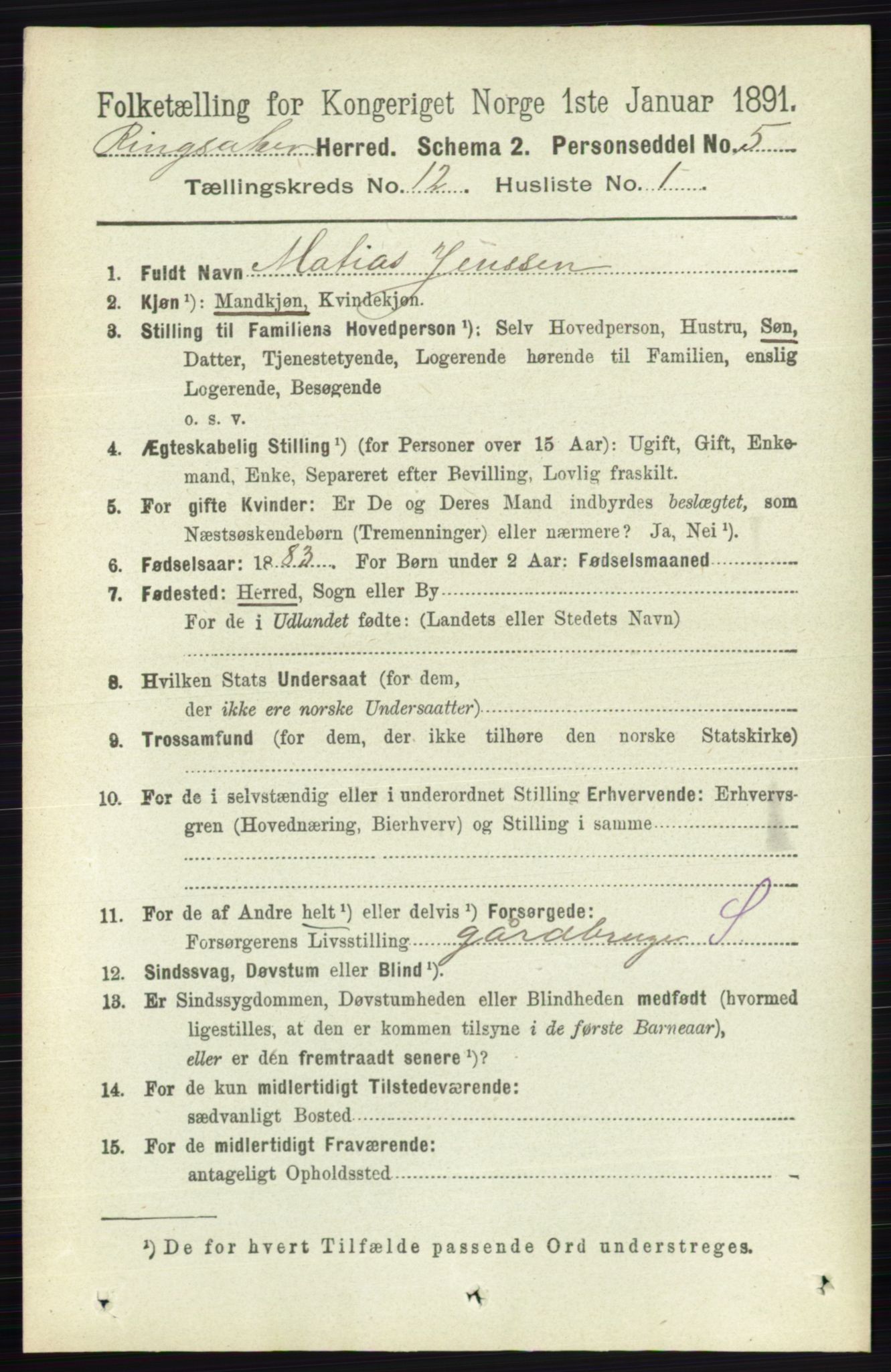 RA, 1891 census for 0412 Ringsaker, 1891, p. 6766