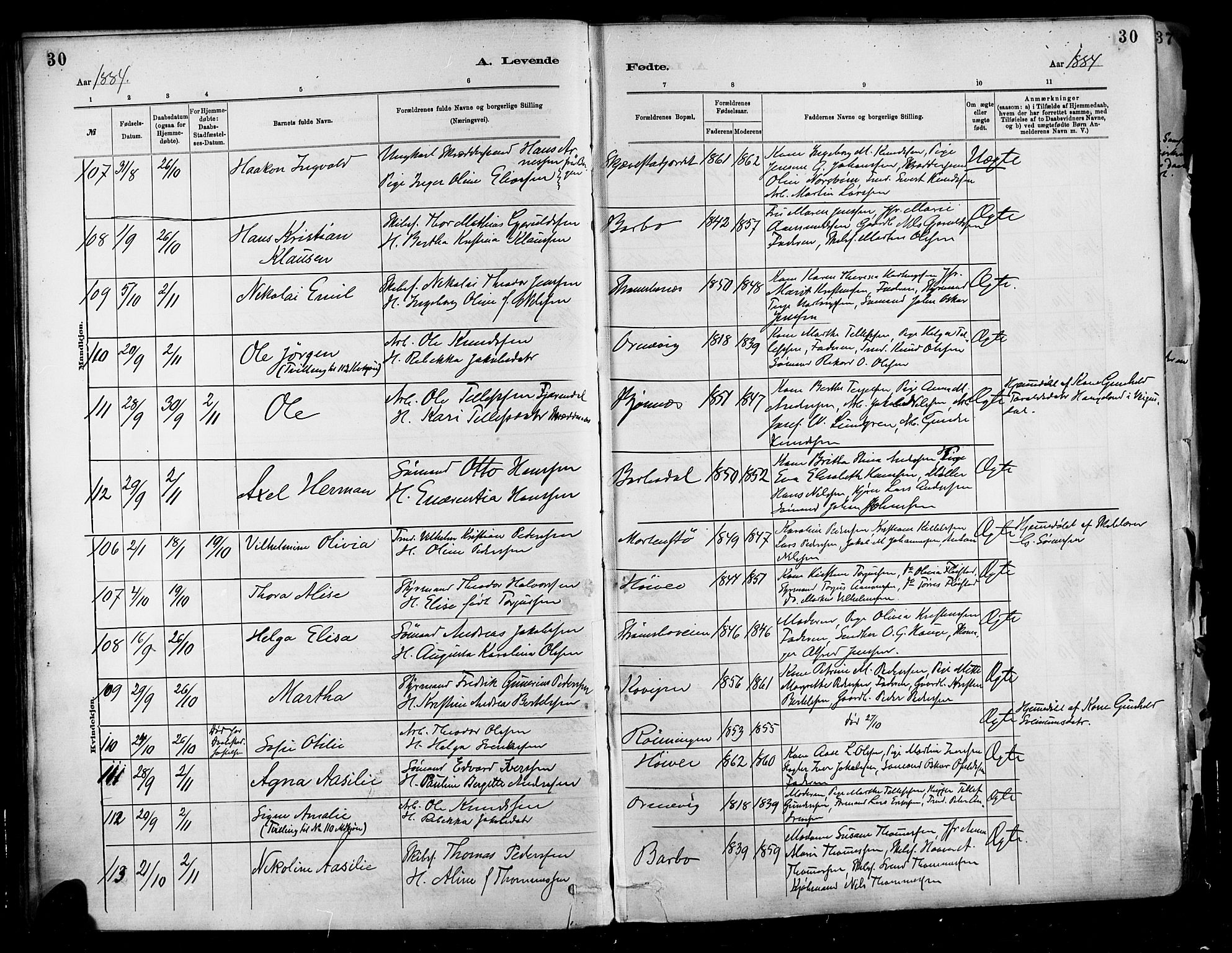 Barbu sokneprestkontor, AV/SAK-1111-0003/F/Fa/L0002: Parish register (official) no. A 2, 1883-1898, p. 30