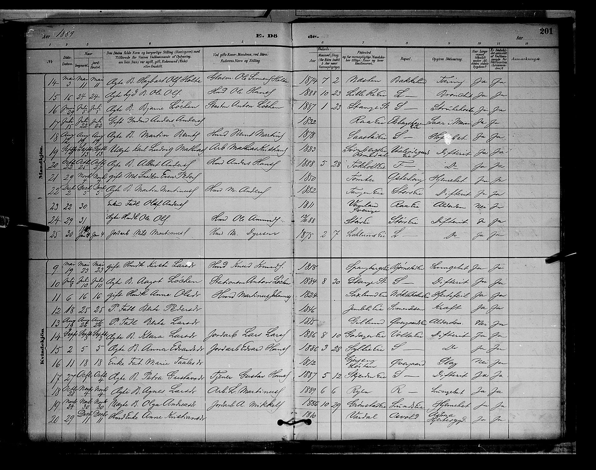 Stange prestekontor, AV/SAH-PREST-002/L/L0009: Parish register (copy) no. 9, 1883-1899, p. 201