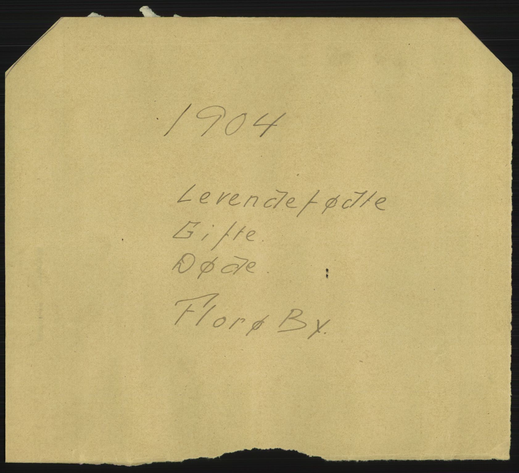 Statistisk sentralbyrå, Sosiodemografiske emner, Befolkning, AV/RA-S-2228/D/Df/Dfa/Dfab/L0024: Florø: Fødte, gifte, døde, 1904, p. 1