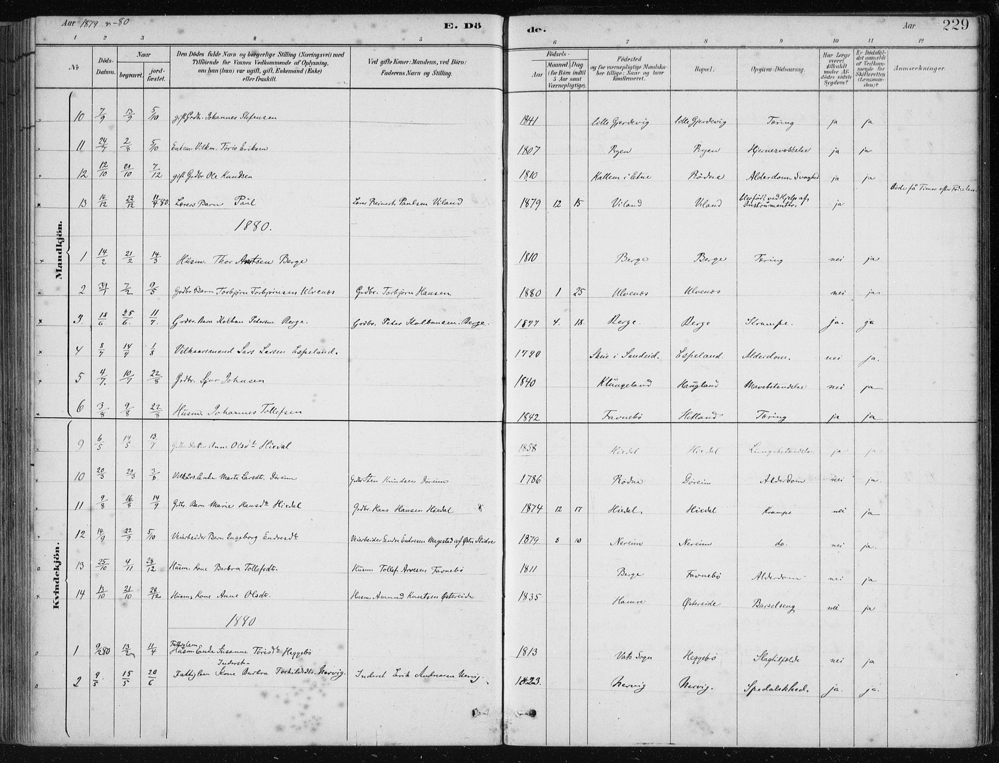 Fjelberg sokneprestembete, AV/SAB-A-75201/H/Haa: Parish register (official) no. D 1, 1879-1918, p. 229