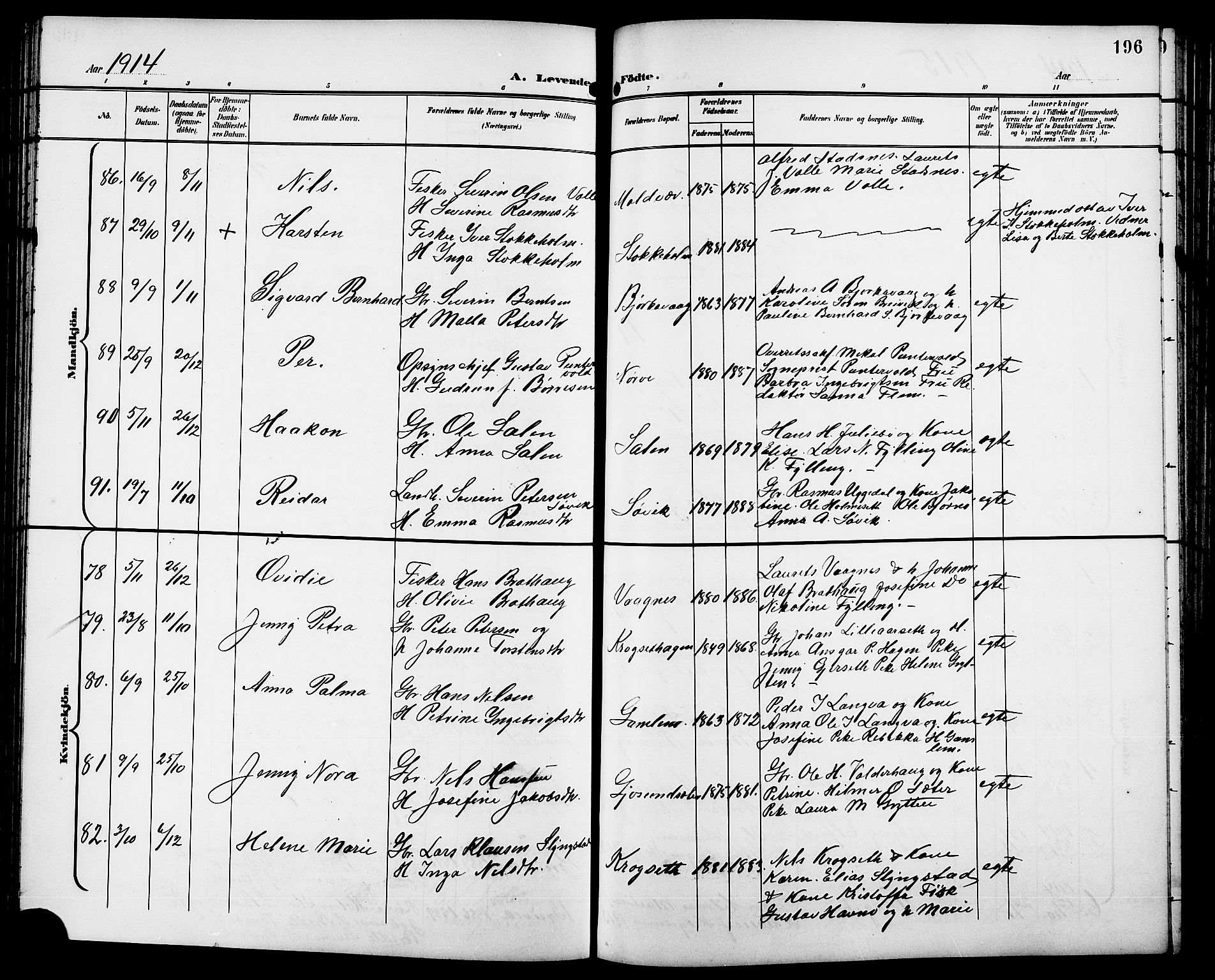 Ministerialprotokoller, klokkerbøker og fødselsregistre - Møre og Romsdal, AV/SAT-A-1454/528/L0432: Parish register (copy) no. 528C13, 1898-1918, p. 196