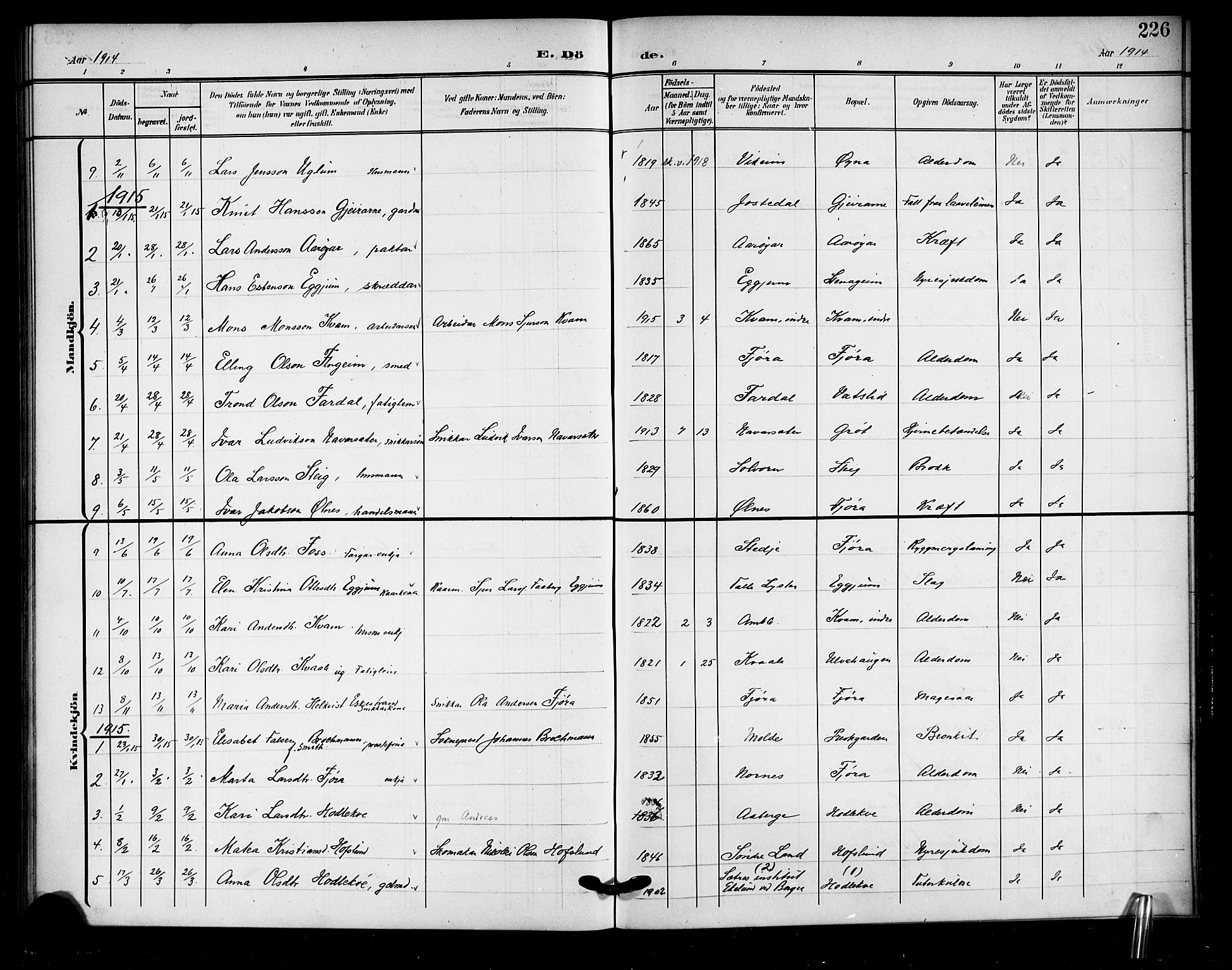 Sogndal sokneprestembete, AV/SAB-A-81301/H/Hab/Haba/L0002: Parish register (copy) no. A 2, 1908-1924, p. 226