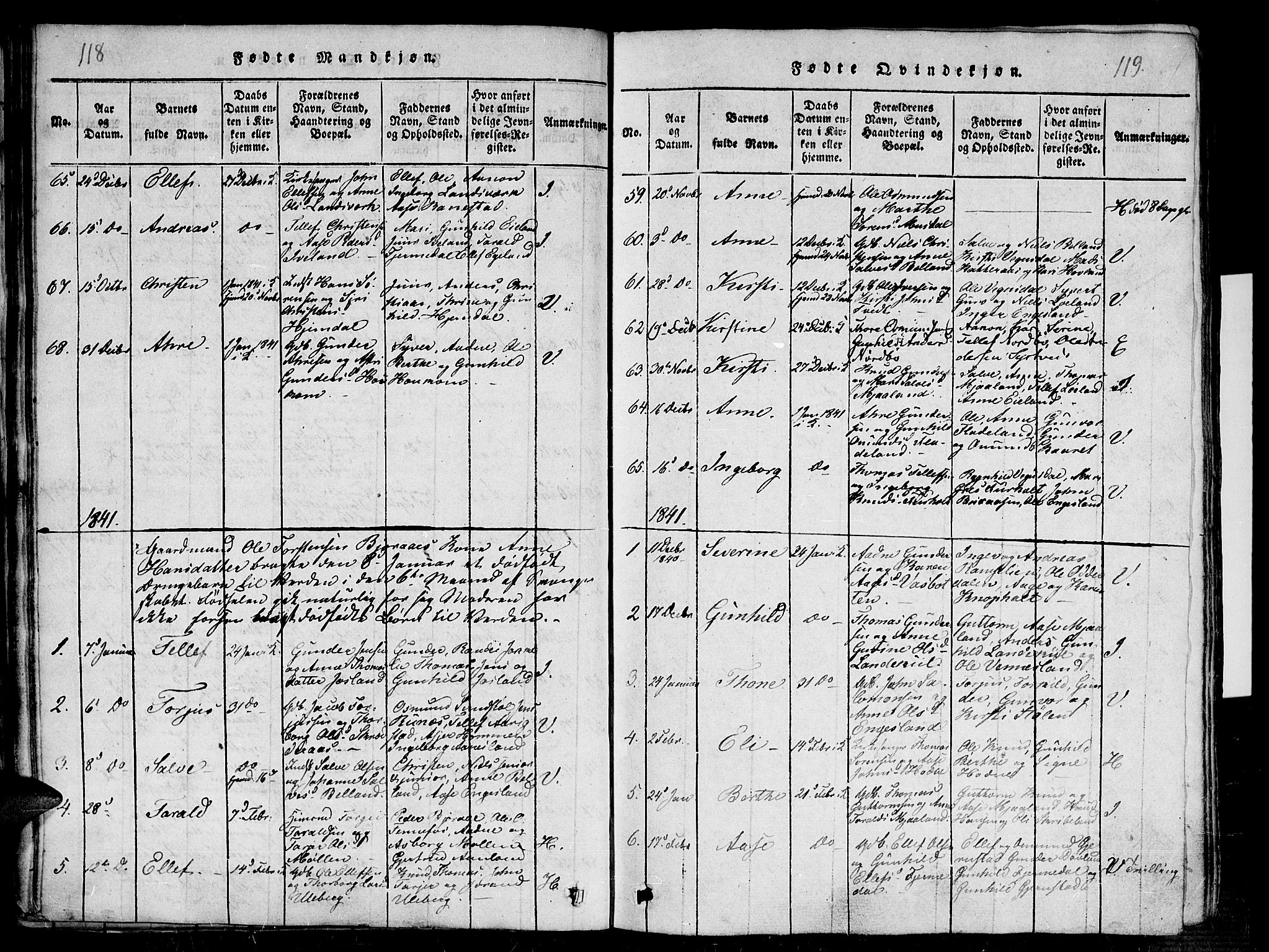 Evje sokneprestkontor, SAK/1111-0008/F/Fb/Fba/L0001: Parish register (copy) no. B 1, 1816-1842, p. 118-119