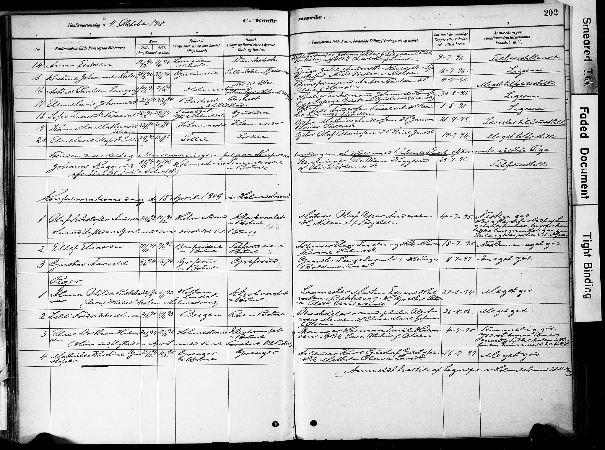 Botne kirkebøker, AV/SAKO-A-340/F/Fa/L0007: Parish register (official) no. I 7, 1878-1910, p. 202