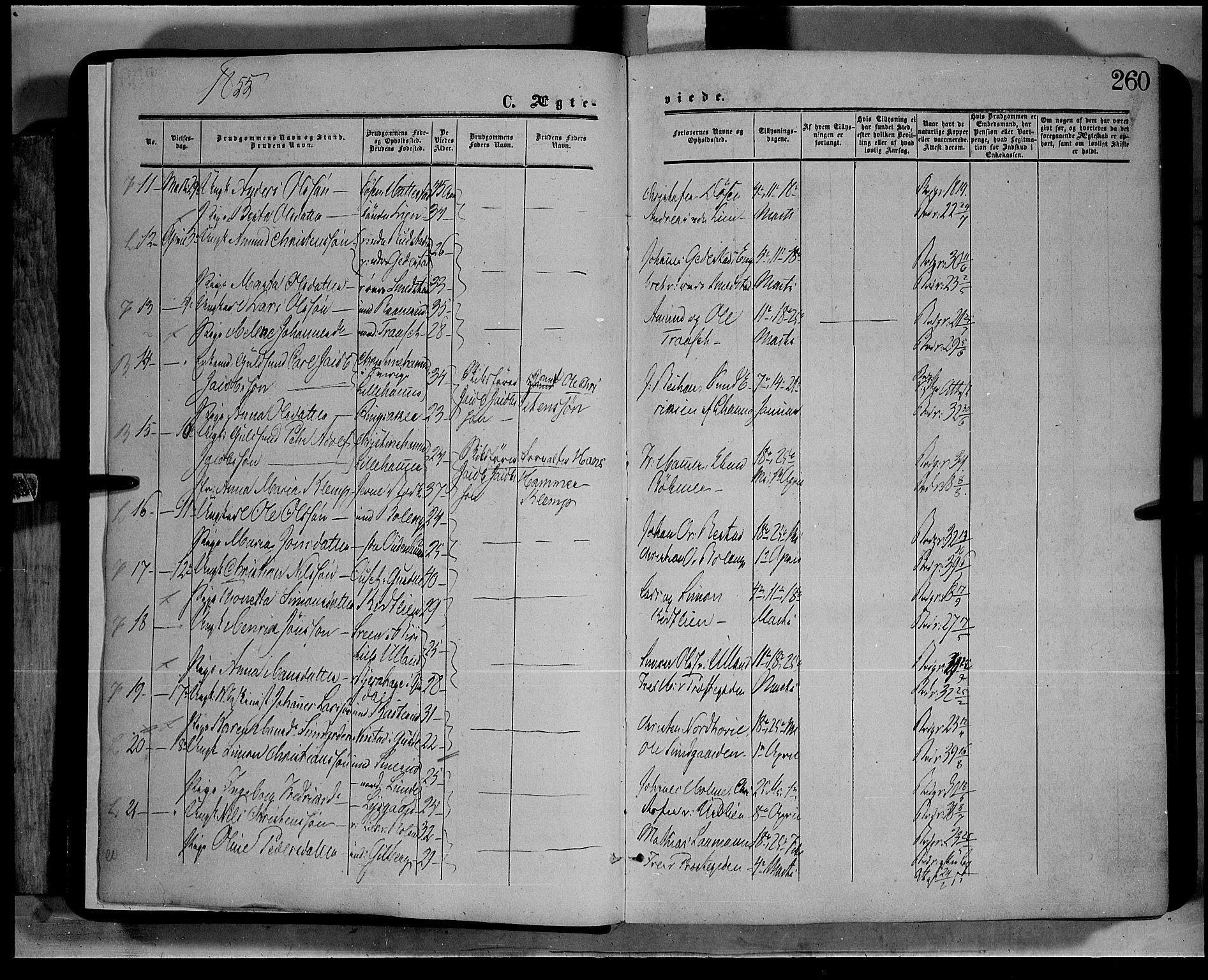 Fåberg prestekontor, AV/SAH-PREST-086/H/Ha/Haa/L0006: Parish register (official) no. 6B, 1855-1867, p. 260