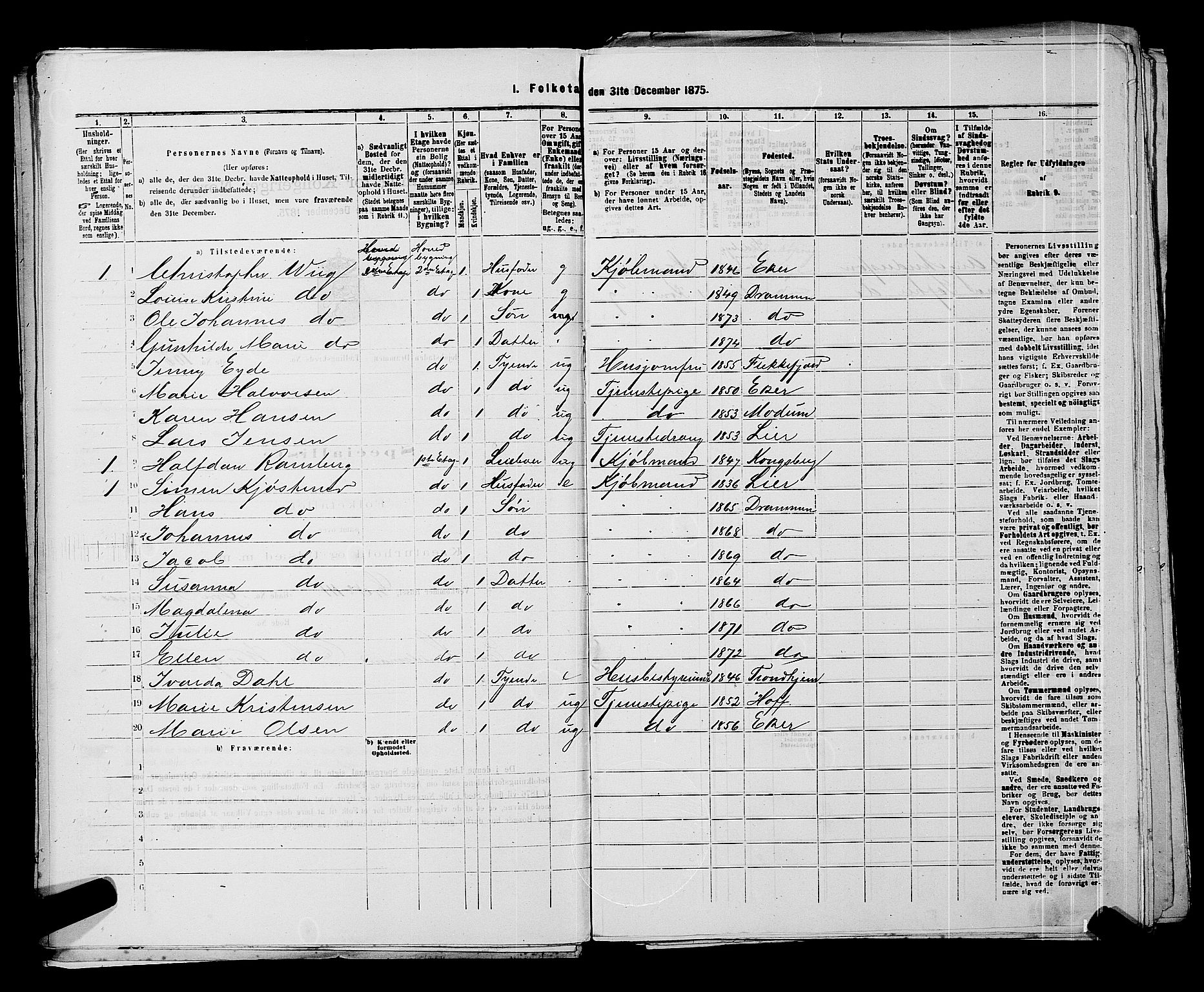 SAKO, 1875 census for 0602 Drammen, 1875, p. 424