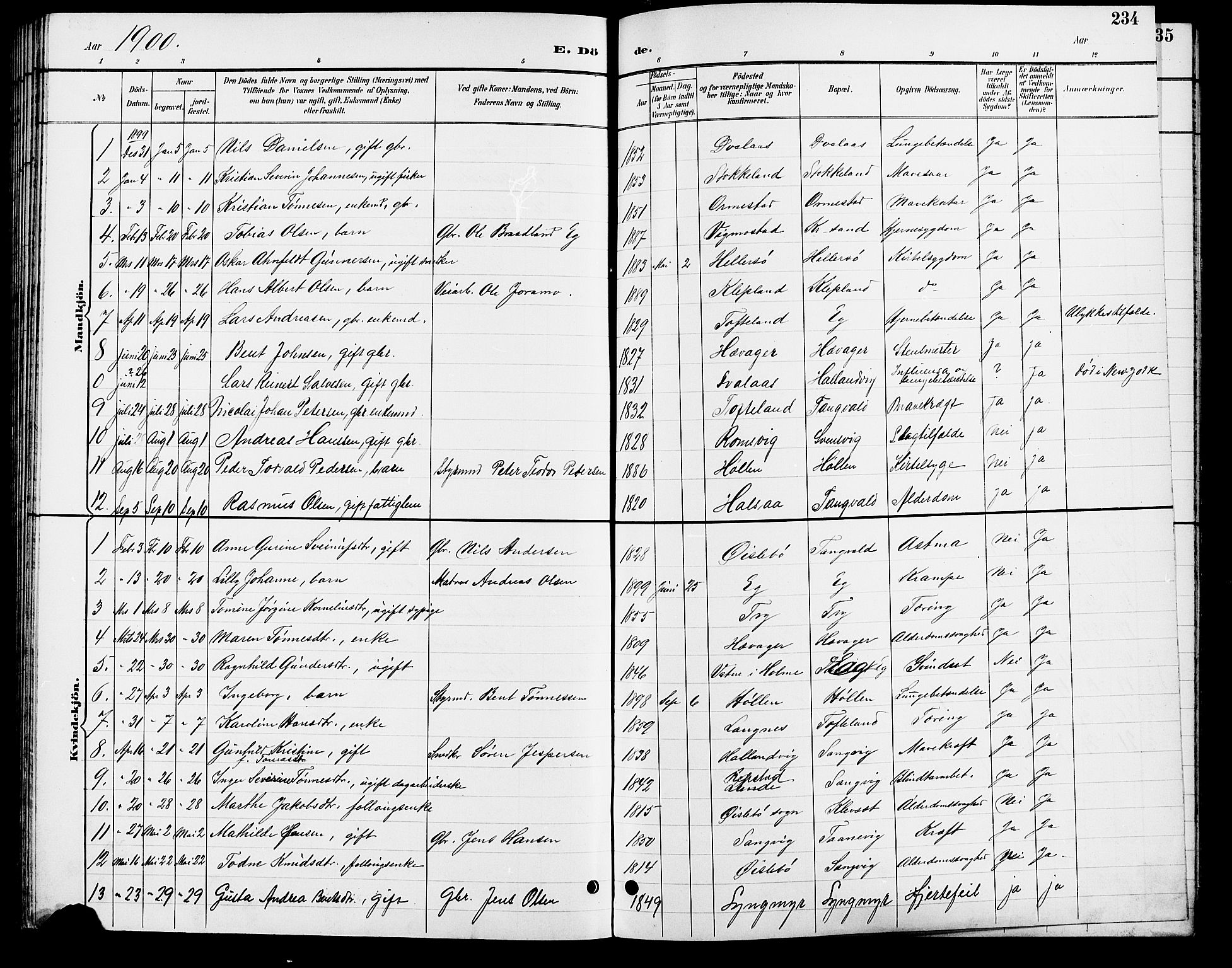 Søgne sokneprestkontor, SAK/1111-0037/F/Fb/Fbb/L0006: Parish register (copy) no. B 6, 1892-1911, p. 234