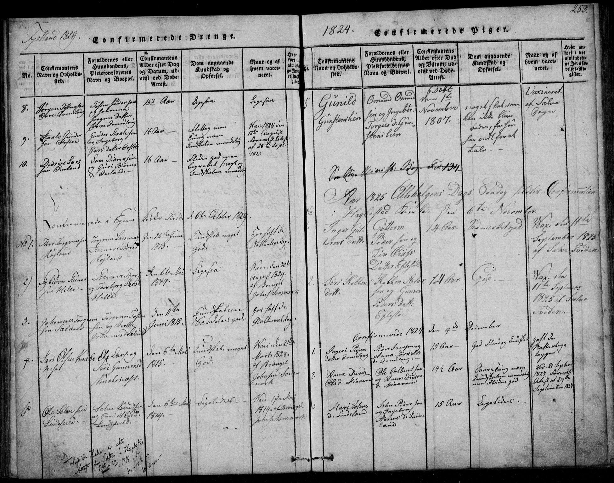 Fjotland sokneprestkontor, AV/SAK-1111-0010/F/Fb/L0001: Parish register (copy) no. B 1, 1816-1849, p. 253