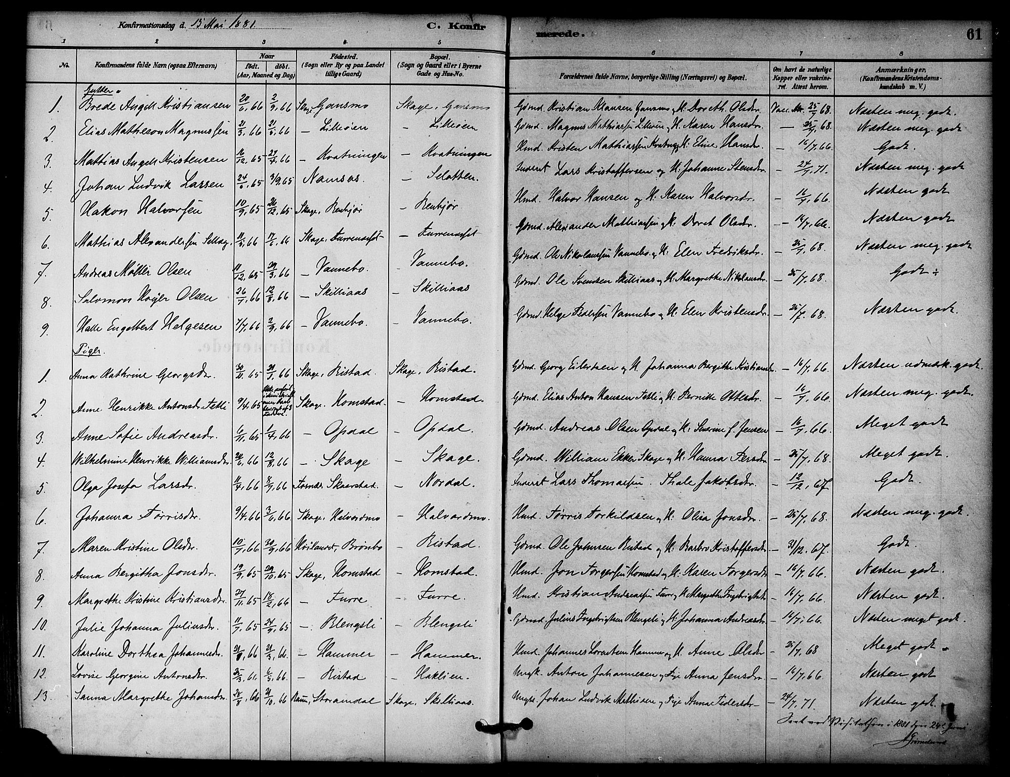 Ministerialprotokoller, klokkerbøker og fødselsregistre - Nord-Trøndelag, SAT/A-1458/766/L0563: Parish register (official) no. 767A01, 1881-1899, p. 61