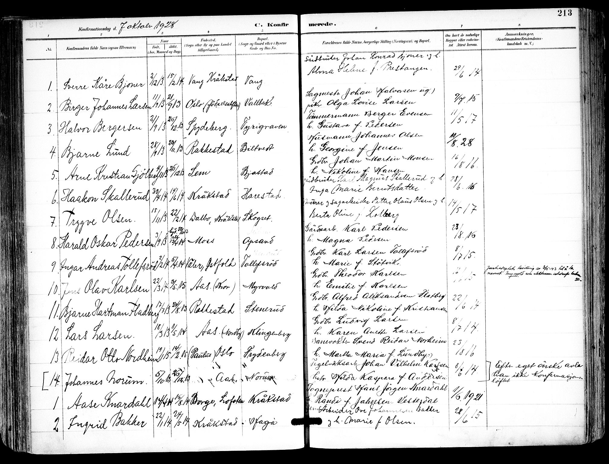 Kråkstad prestekontor Kirkebøker, SAO/A-10125a/F/Fa/L0010: Parish register (official) no. I 10, 1893-1931, p. 213