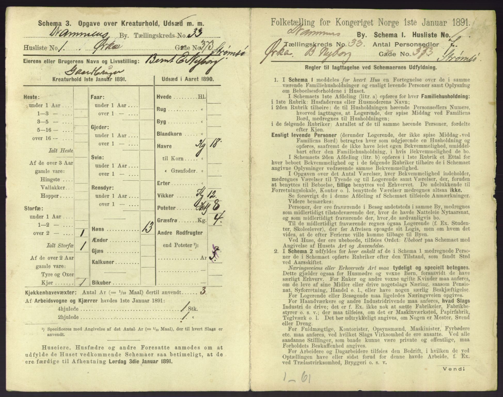 RA, 1891 census for 0602 Drammen, 1891, p. 2871