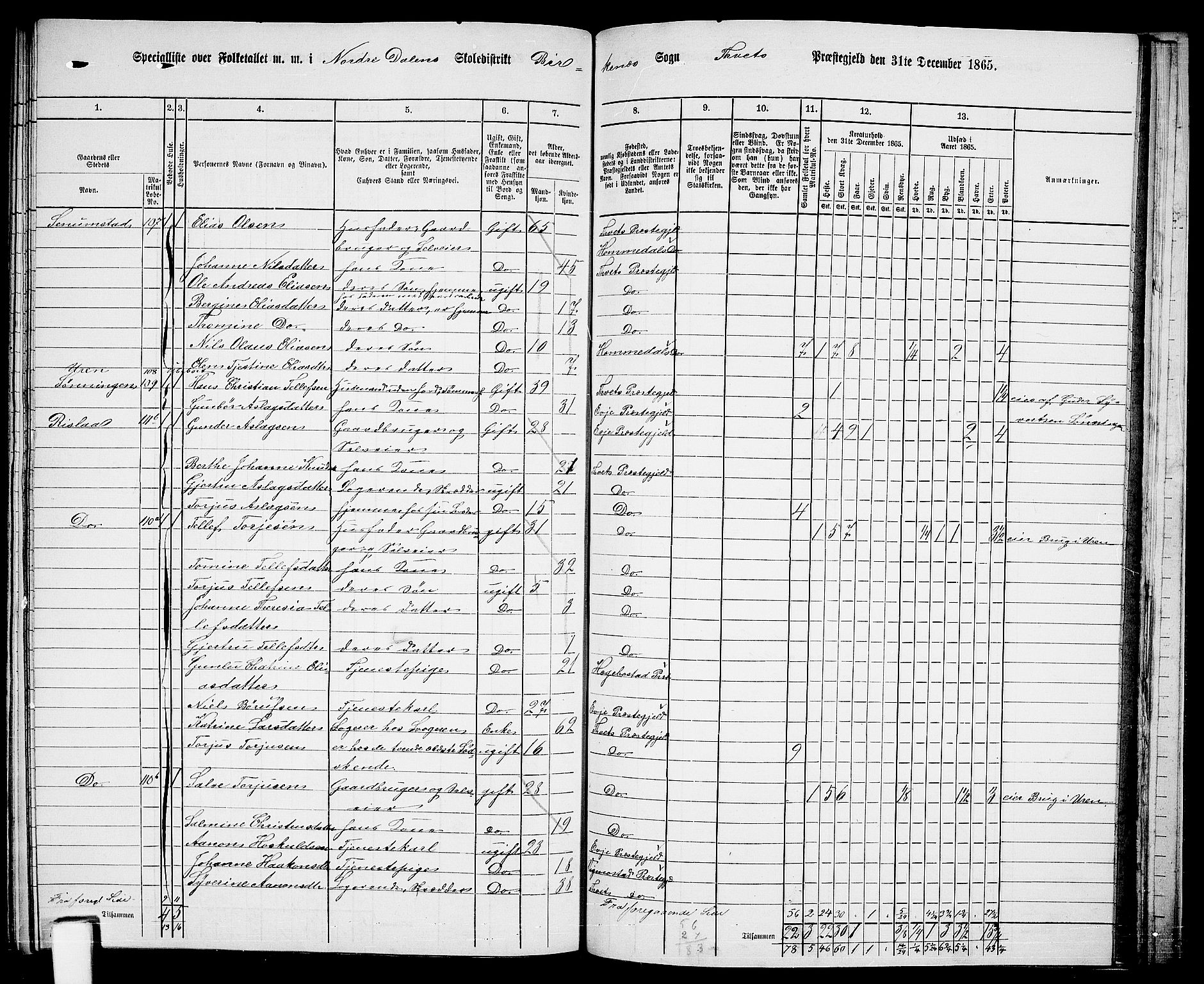 RA, 1865 census for Tveit, 1865, p. 126