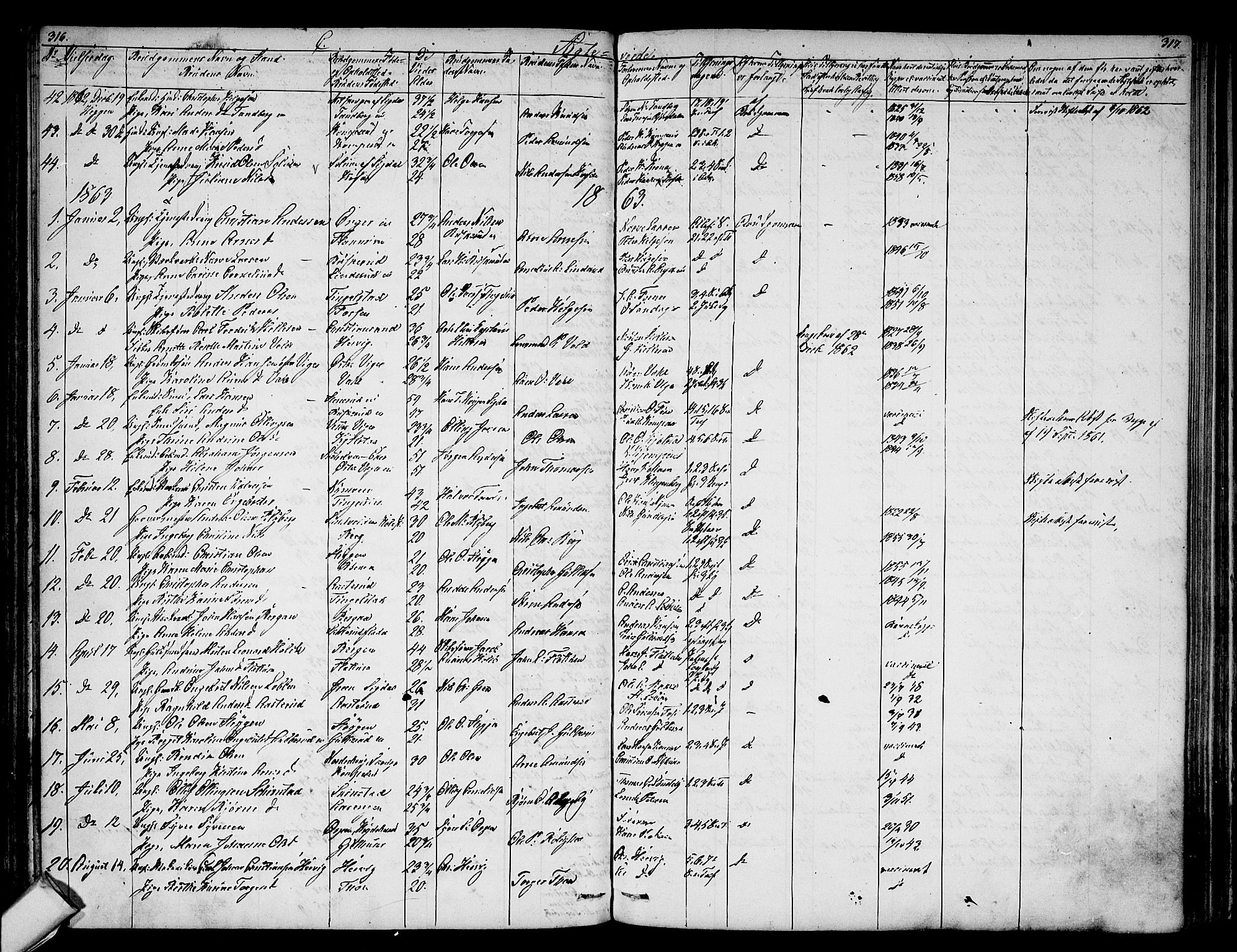 Modum kirkebøker, AV/SAKO-A-234/G/Ga/L0006: Parish register (copy) no. I 6, 1854-1868, p. 316-317