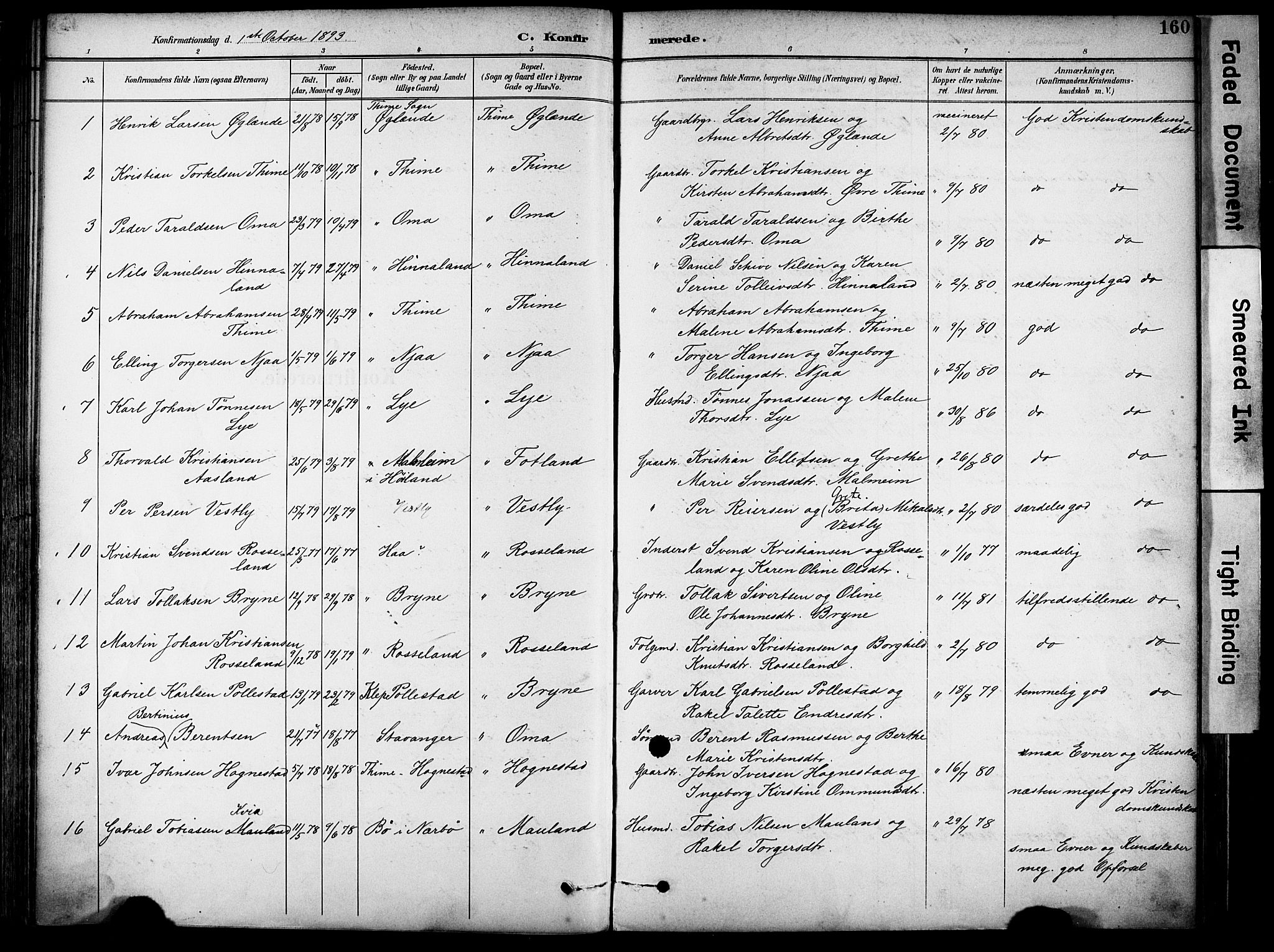 Lye sokneprestkontor, SAST/A-101794/001/30BA/L0011: Parish register (official) no. A 9, 1893-1903, p. 160