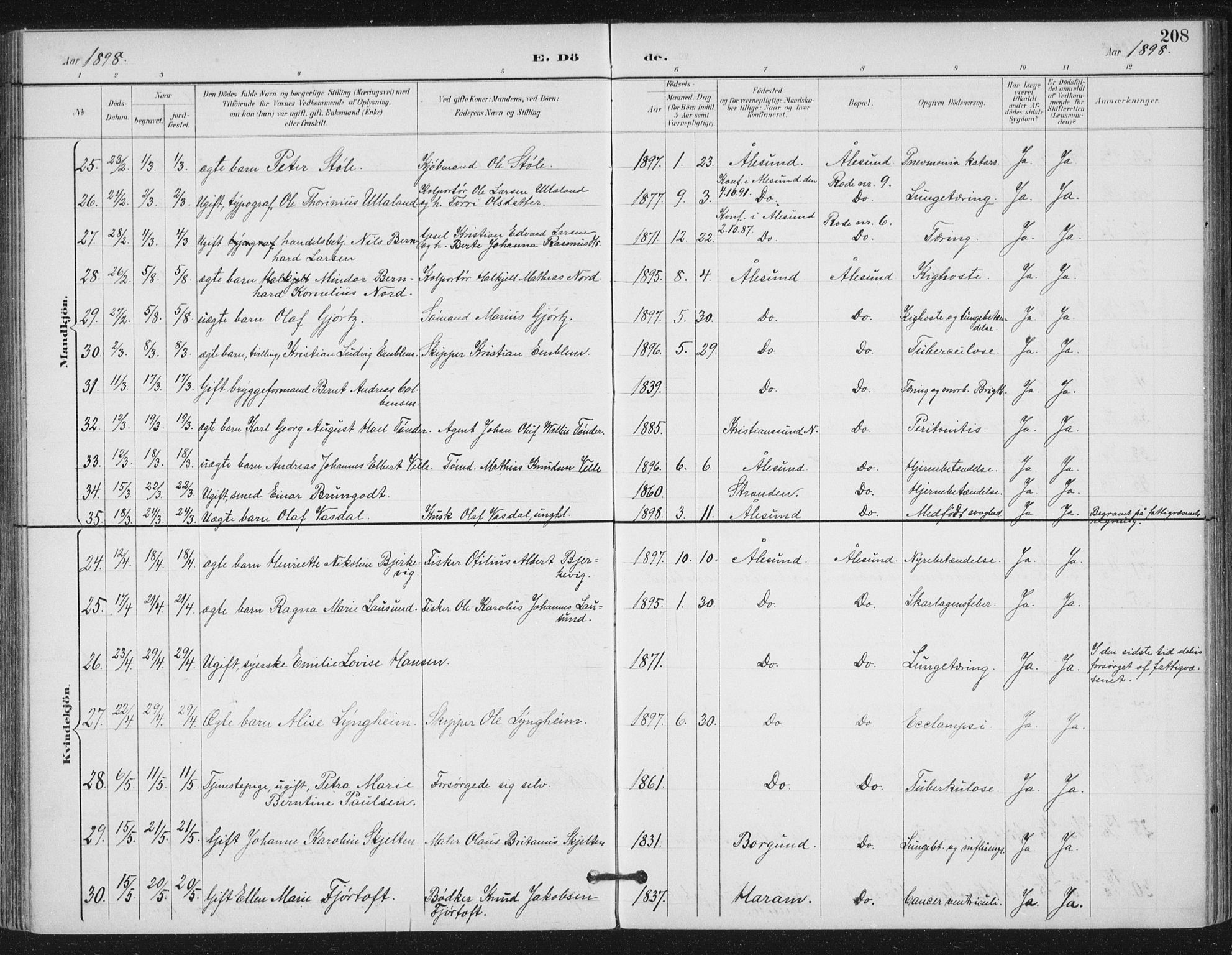 Ministerialprotokoller, klokkerbøker og fødselsregistre - Møre og Romsdal, AV/SAT-A-1454/529/L0457: Parish register (official) no. 529A07, 1894-1903, p. 208