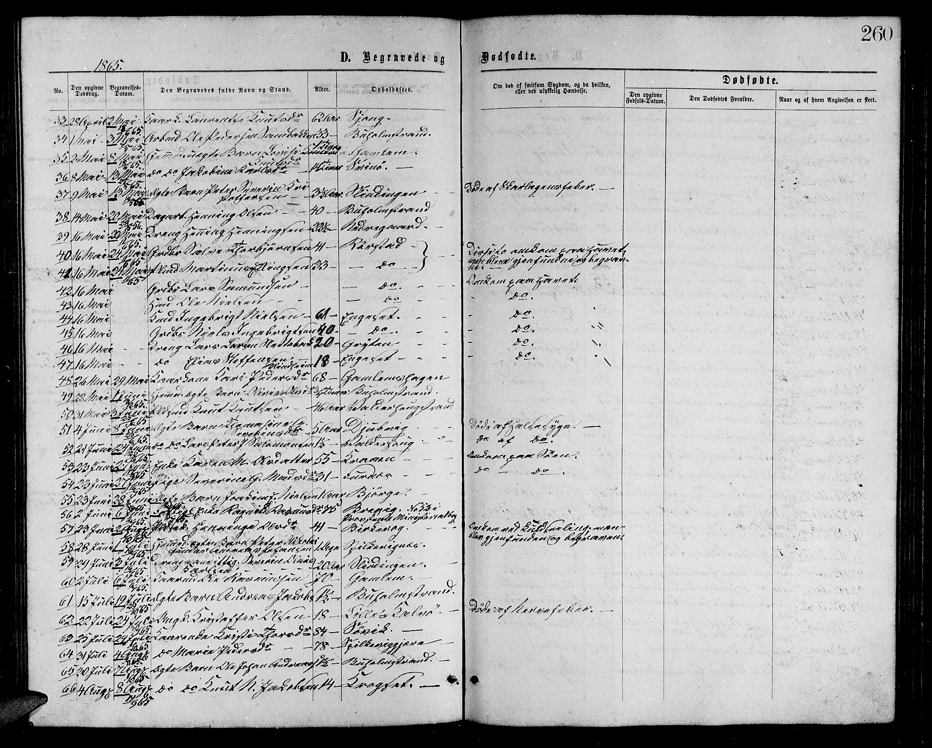 Ministerialprotokoller, klokkerbøker og fødselsregistre - Møre og Romsdal, AV/SAT-A-1454/528/L0428: Parish register (copy) no. 528C09, 1864-1880, p. 260