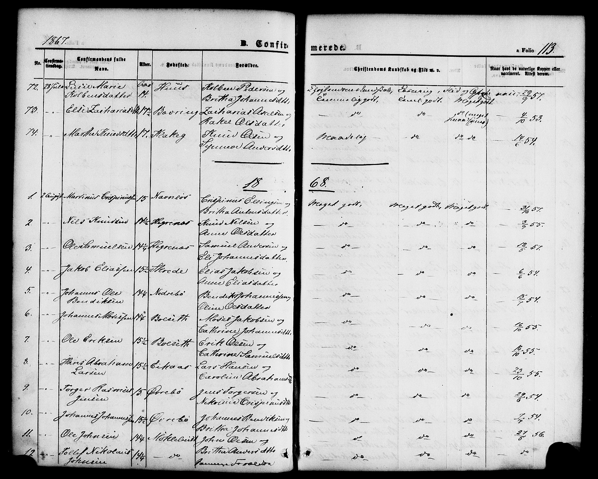 Jølster sokneprestembete, SAB/A-80701/H/Haa/Haaa/L0011: Parish register (official) no. A 11, 1866-1881, p. 113