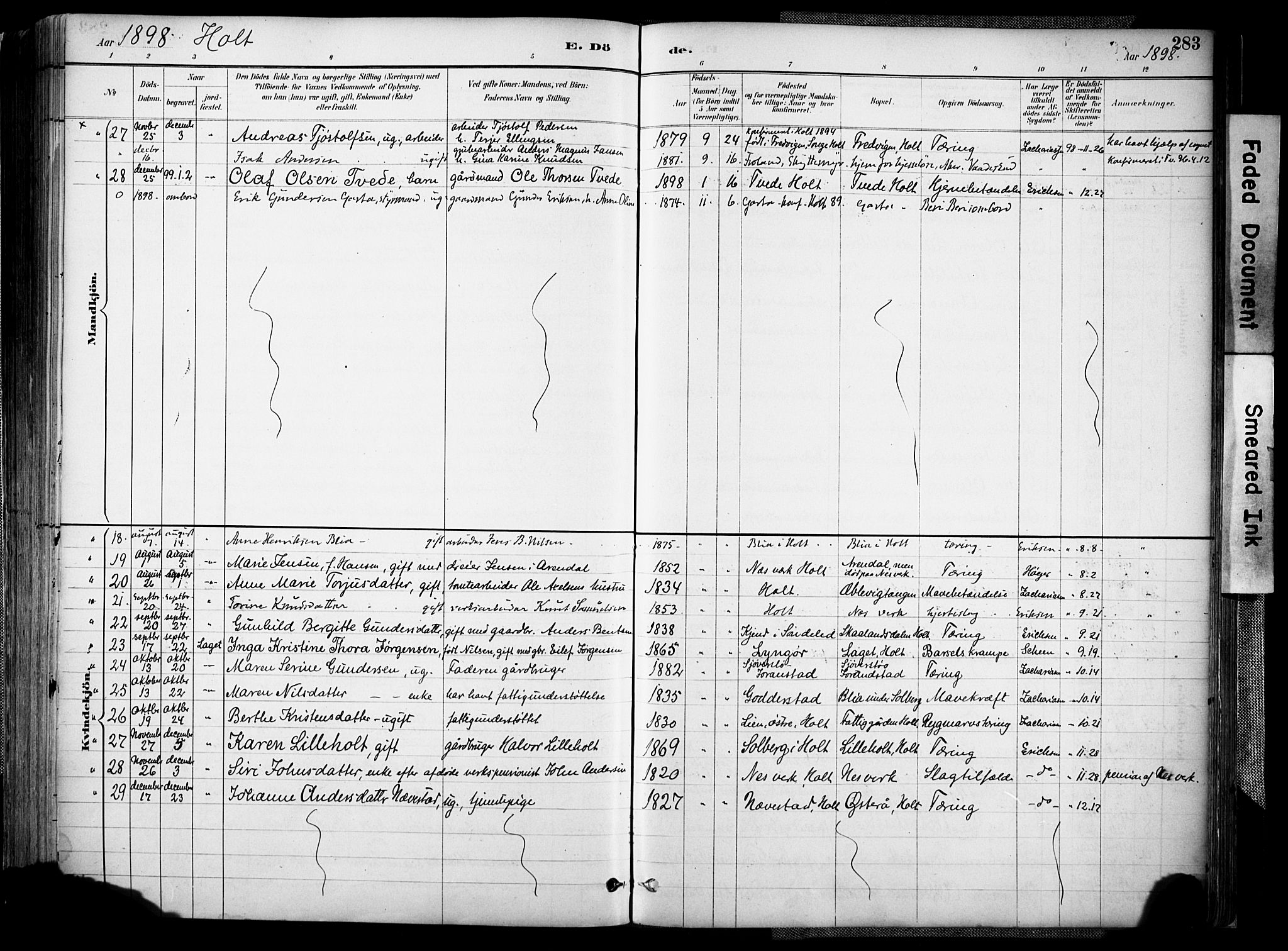 Holt sokneprestkontor, SAK/1111-0021/F/Fa/L0012: Parish register (official) no. A 12, 1885-1907, p. 283