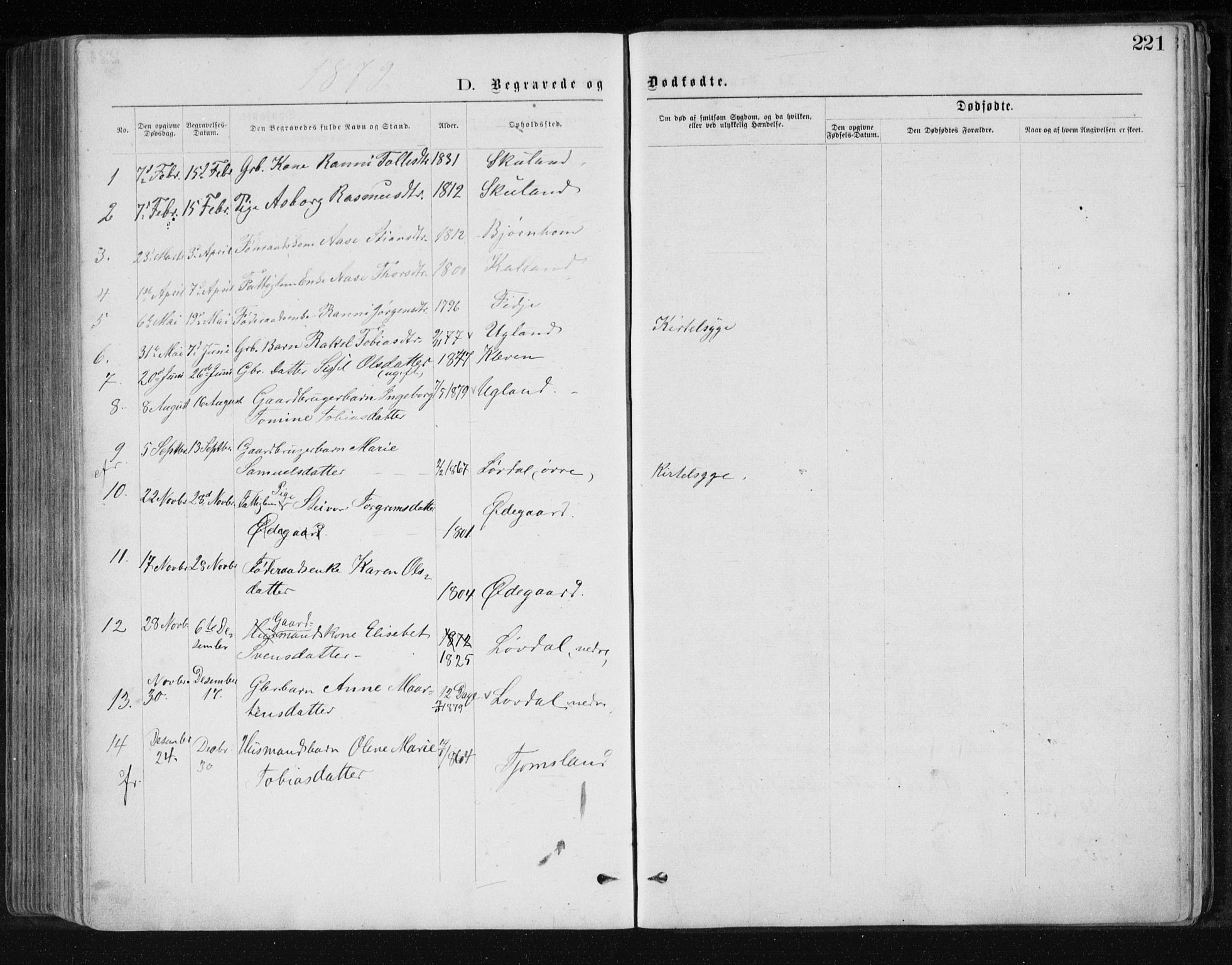 Holum sokneprestkontor, SAK/1111-0022/F/Fb/Fbb/L0003: Parish register (copy) no. B 3, 1875-1898, p. 221