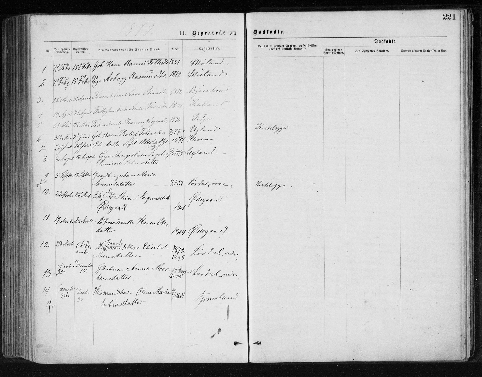Holum sokneprestkontor, AV/SAK-1111-0022/F/Fb/Fbb/L0003: Parish register (copy) no. B 3, 1875-1898, p. 221