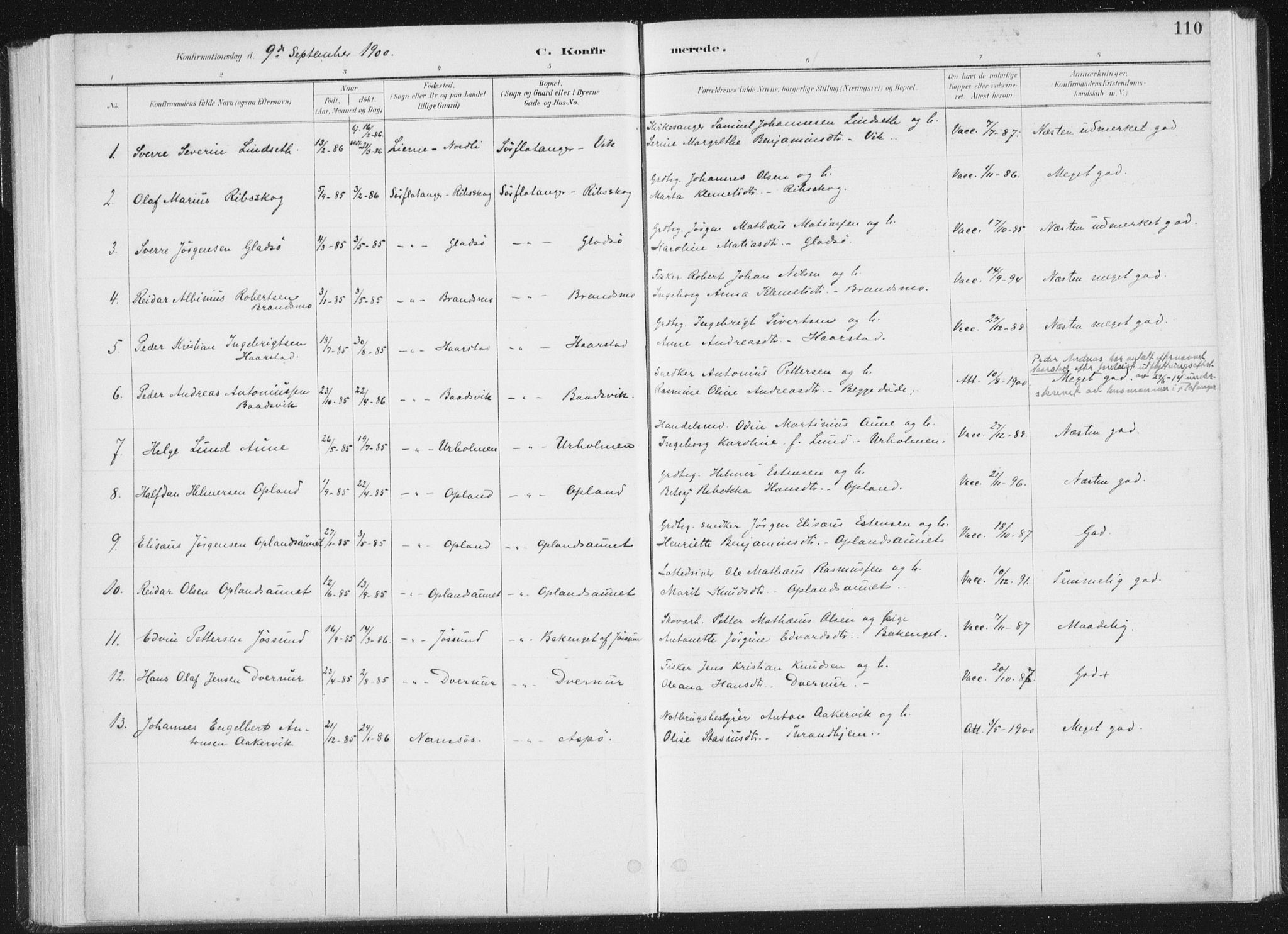 Ministerialprotokoller, klokkerbøker og fødselsregistre - Nord-Trøndelag, SAT/A-1458/771/L0597: Parish register (official) no. 771A04, 1885-1910, p. 110